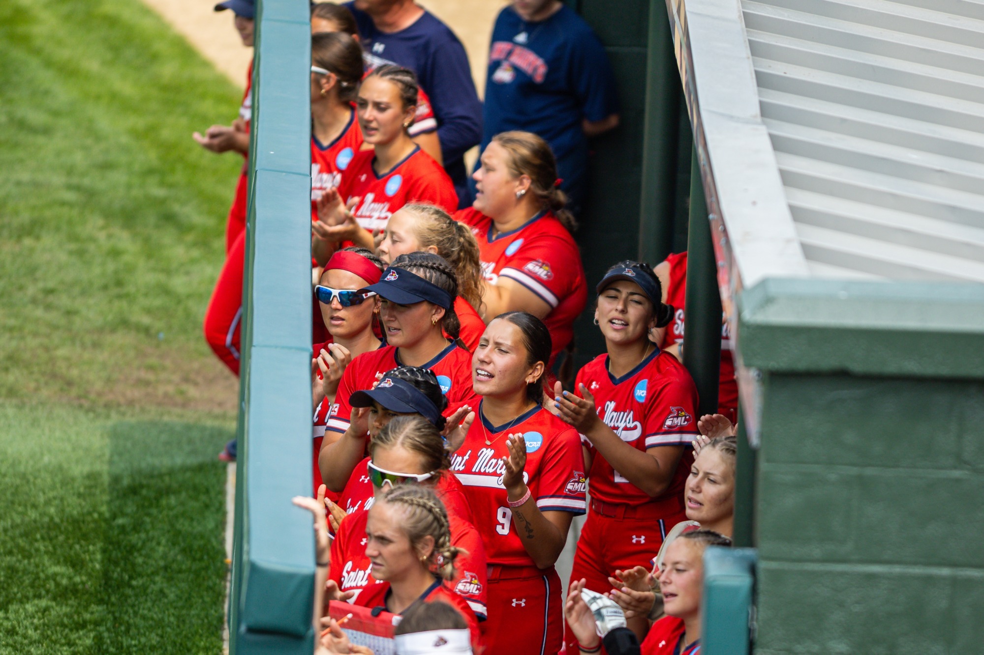 NFCA Softball graphic