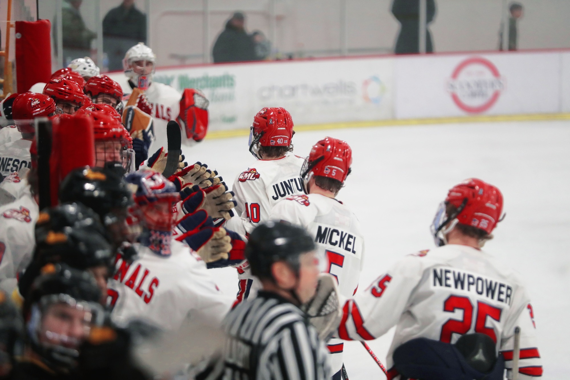 Men's Hockey Celebration