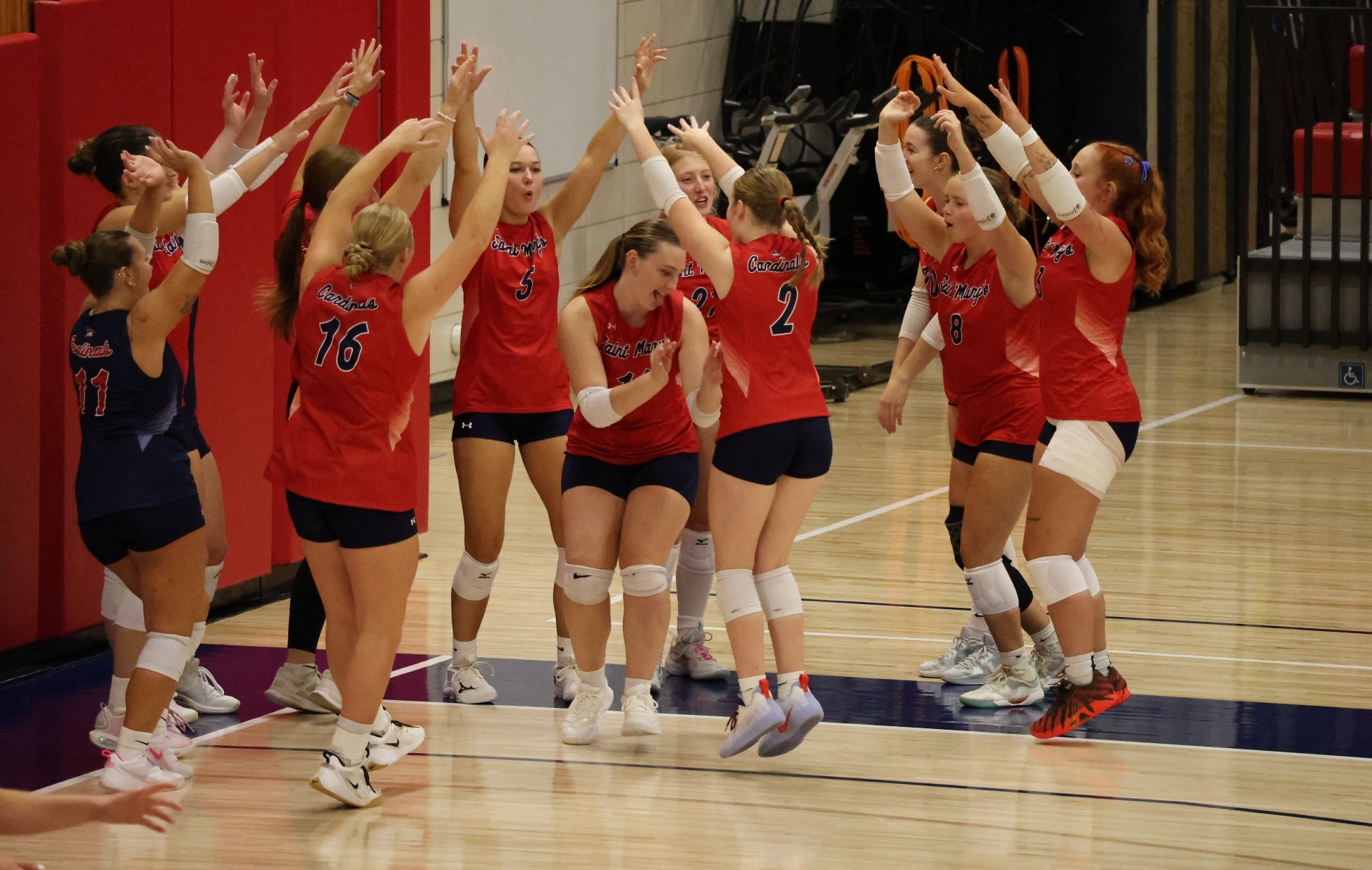 Volleyball Celbration