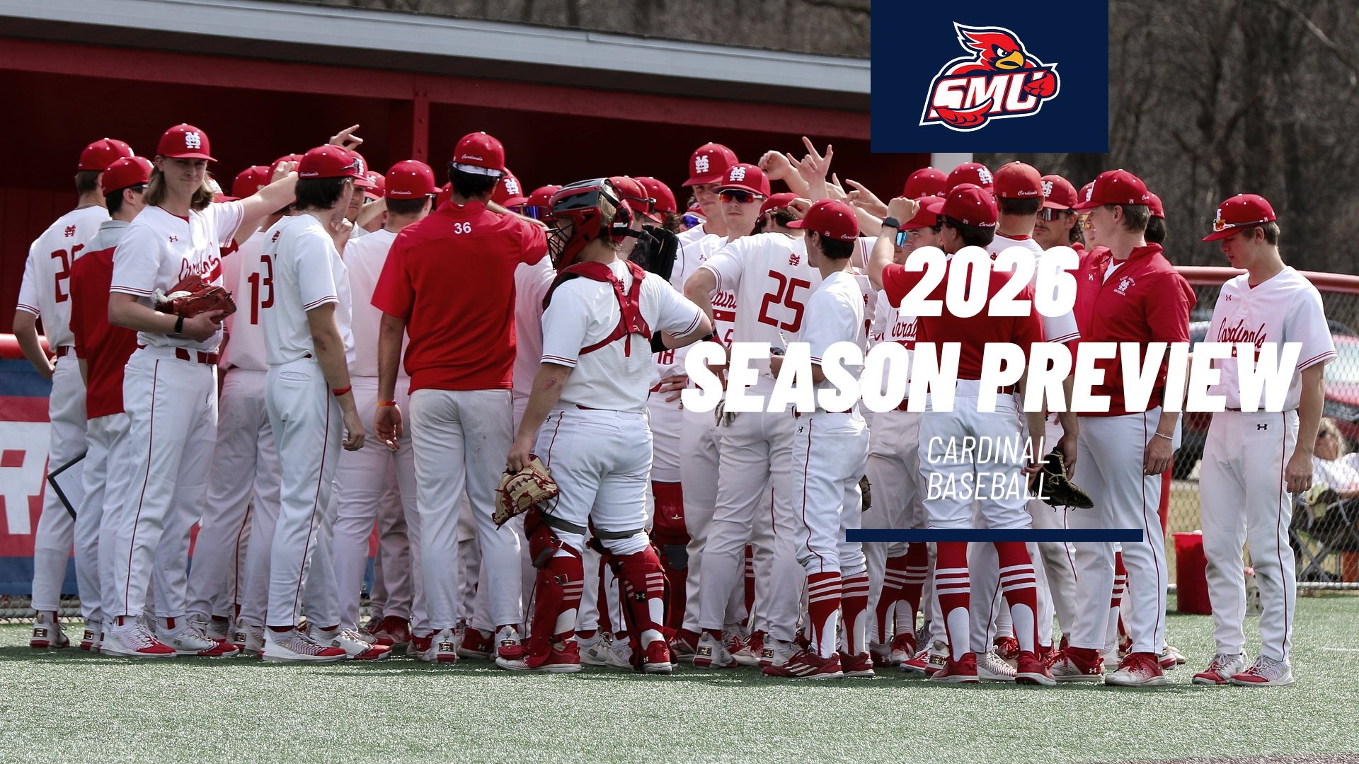 Baseball Season Prview Graphic