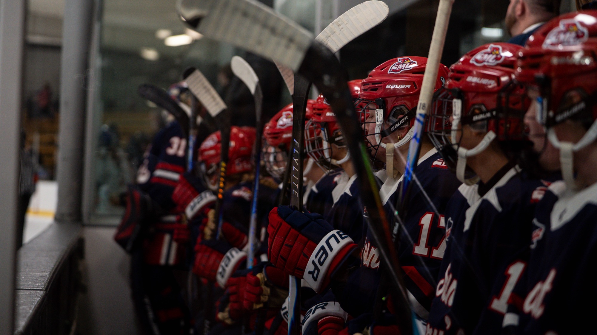Women's Hockey Team