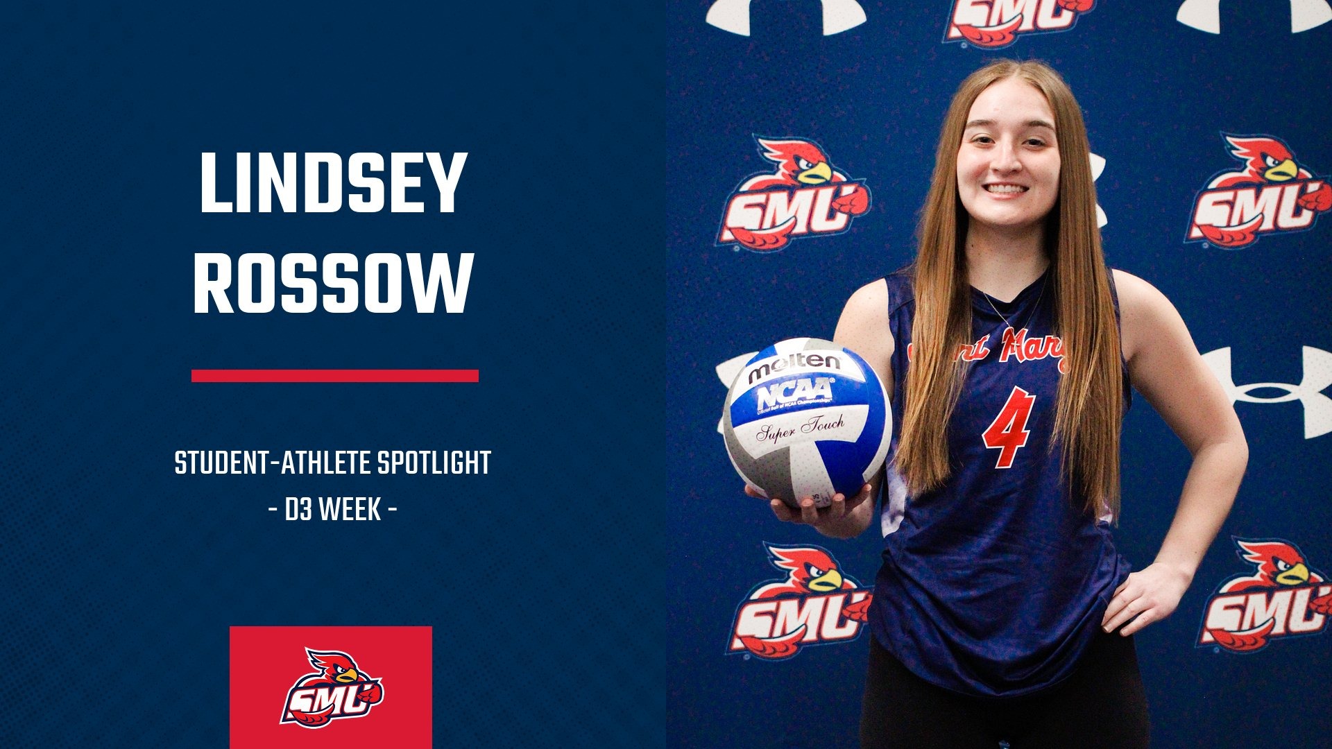 Lindsey SPotlight