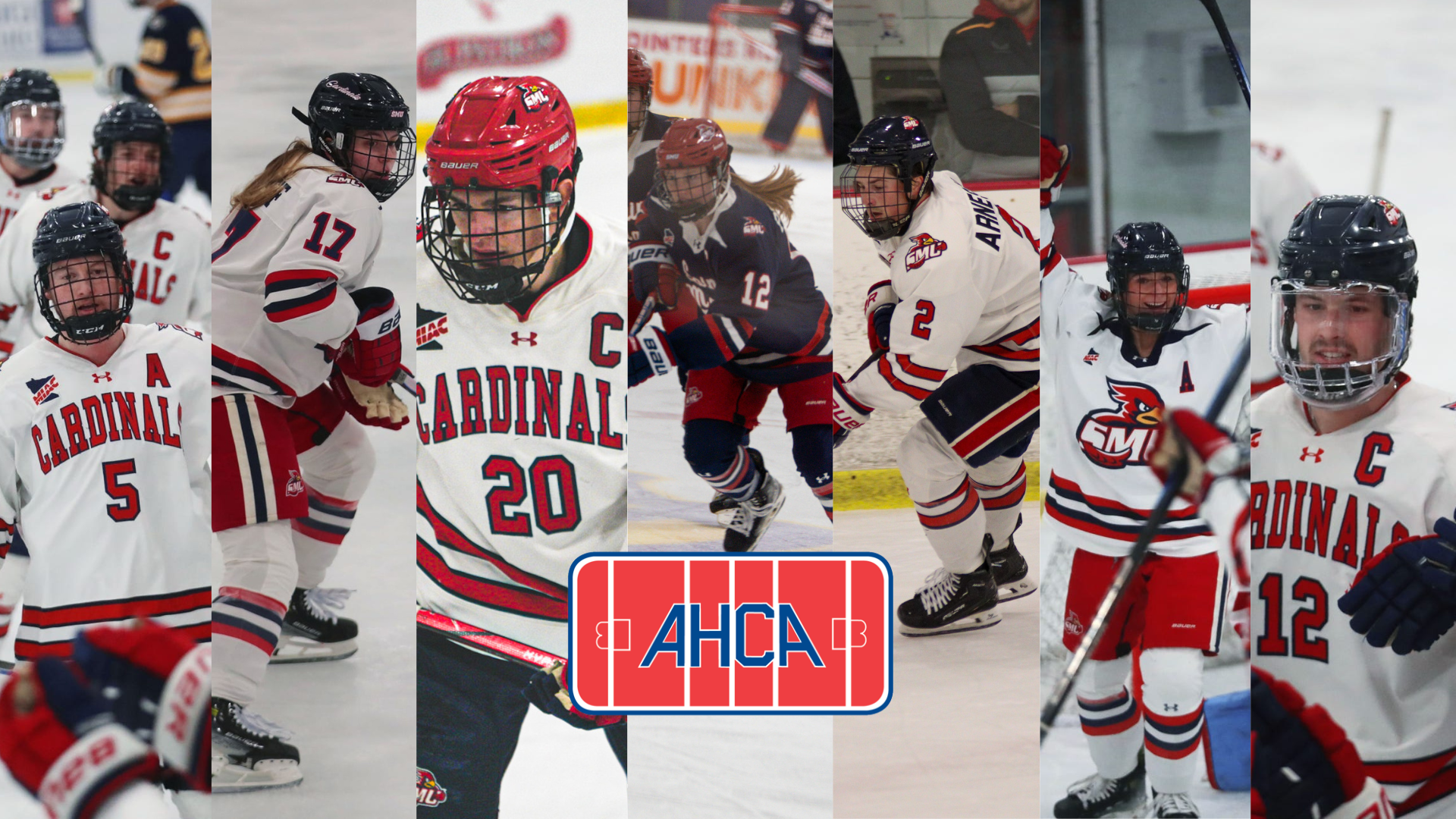 All-American Scholars Graphic AHCA