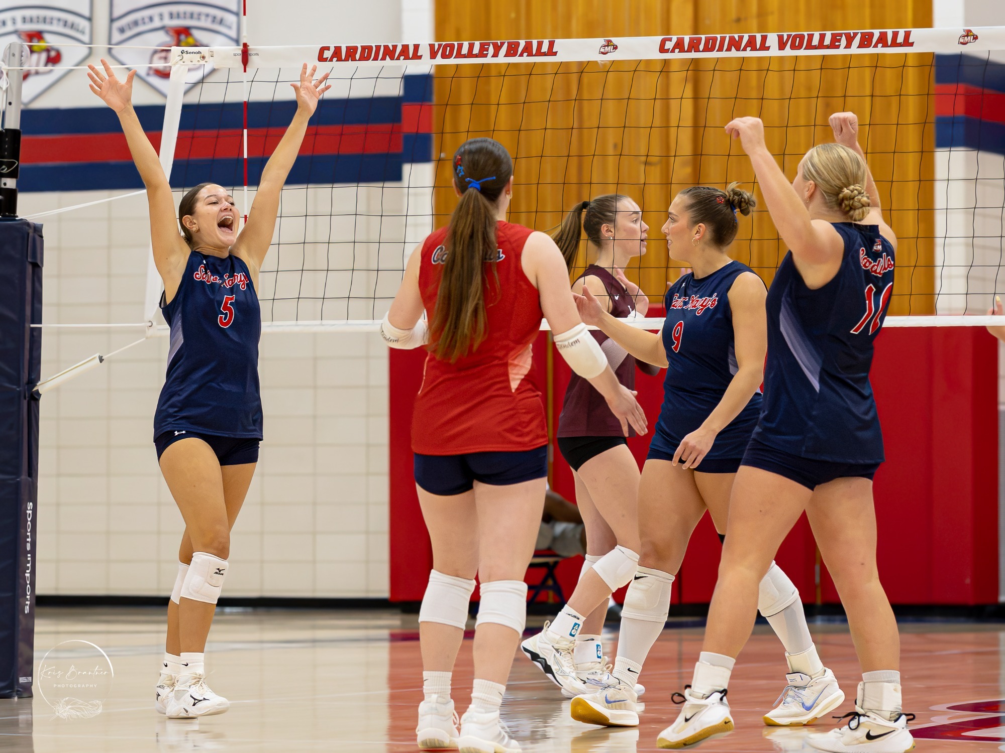 Volleyball Celebration