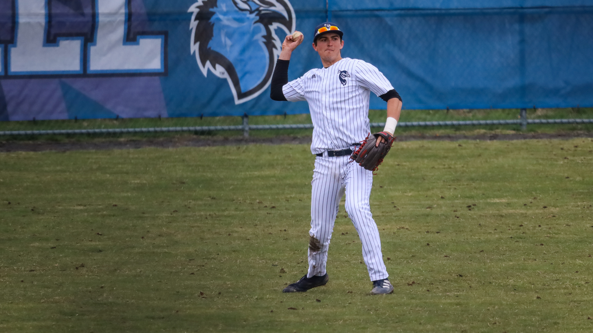 Collin Jensen Baseball Saint Peter's University Athletics