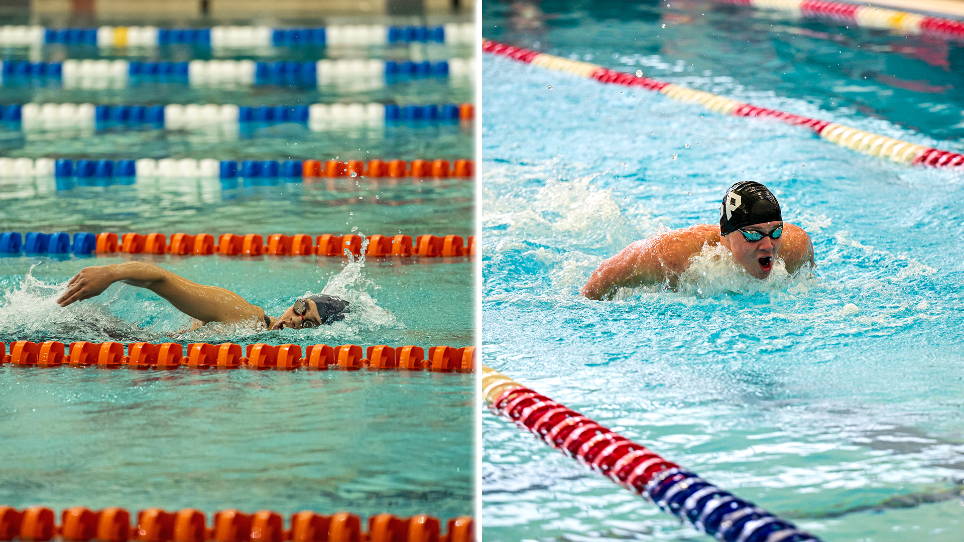 swimming and diving duo pic