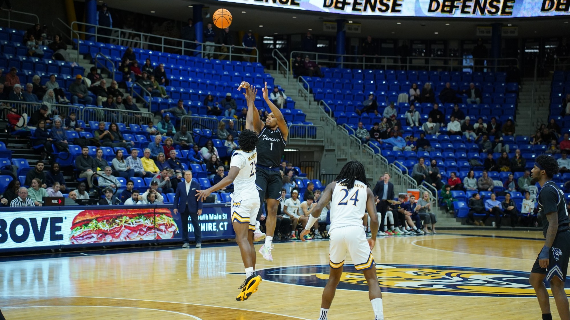 Brent Bland at Quinnipiac