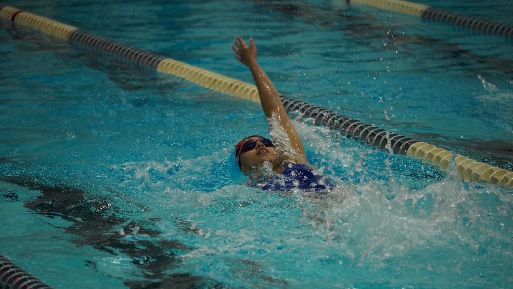 francesca solano vargas