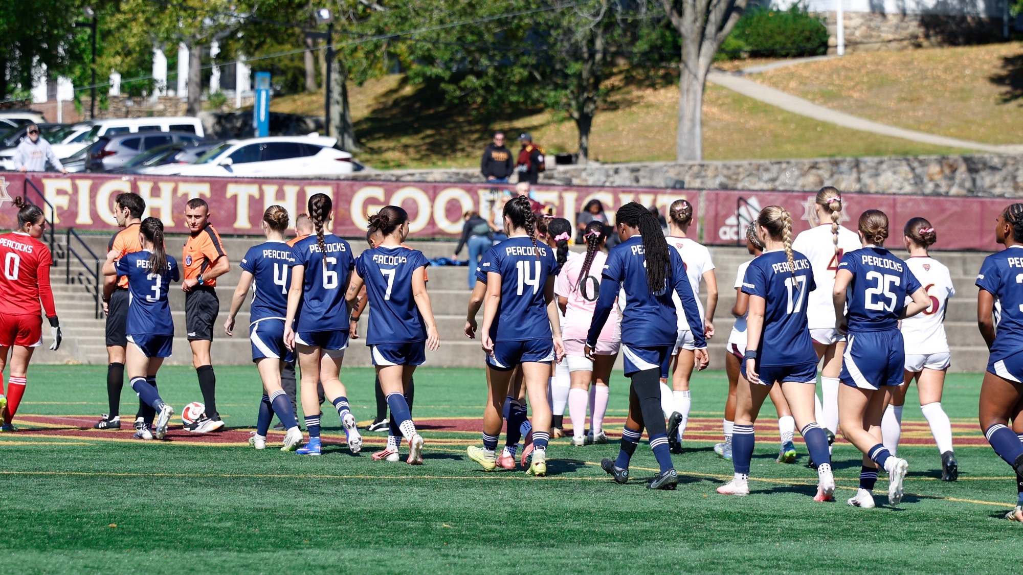 vs iona