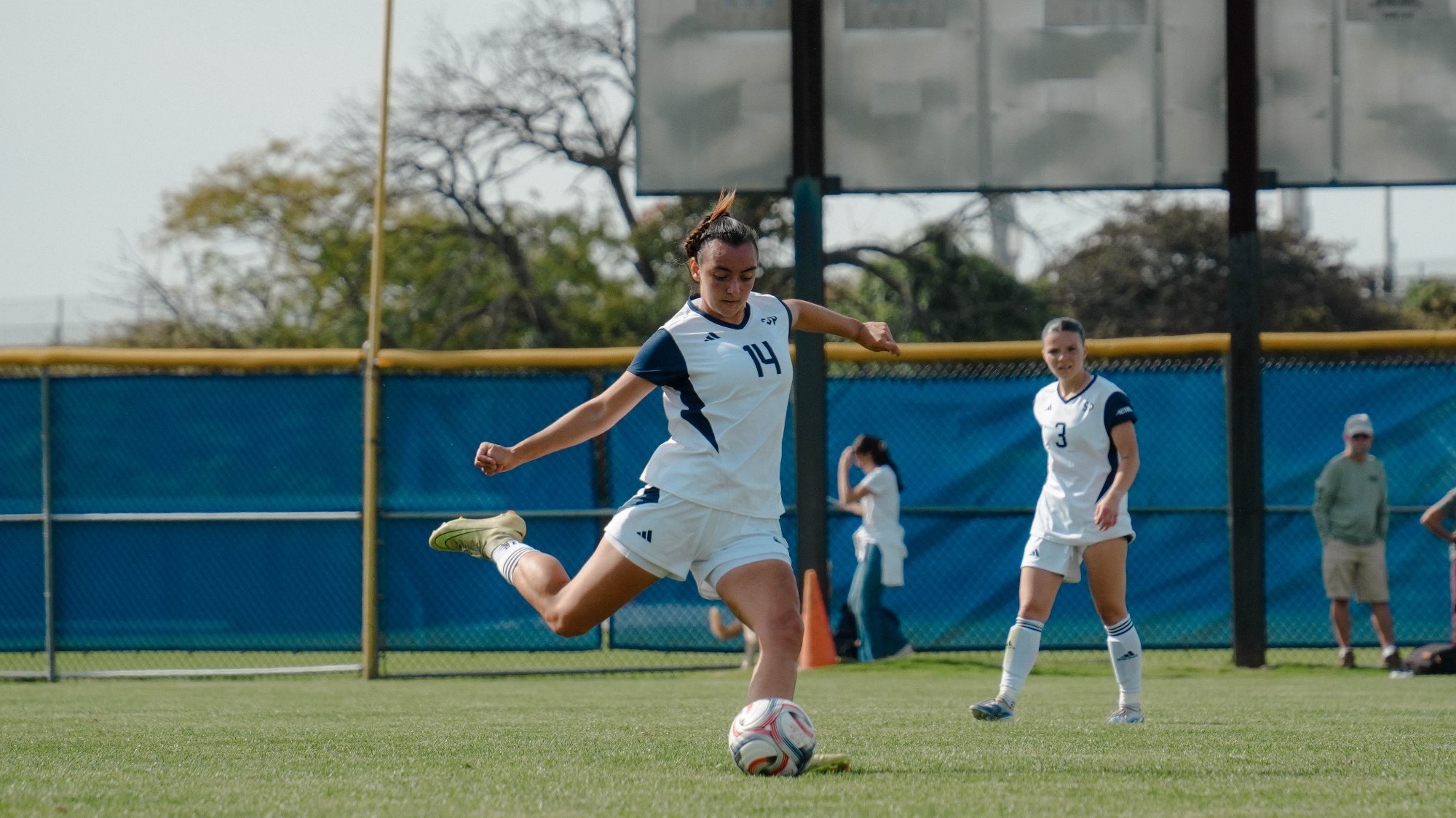 Wsoc Siena
