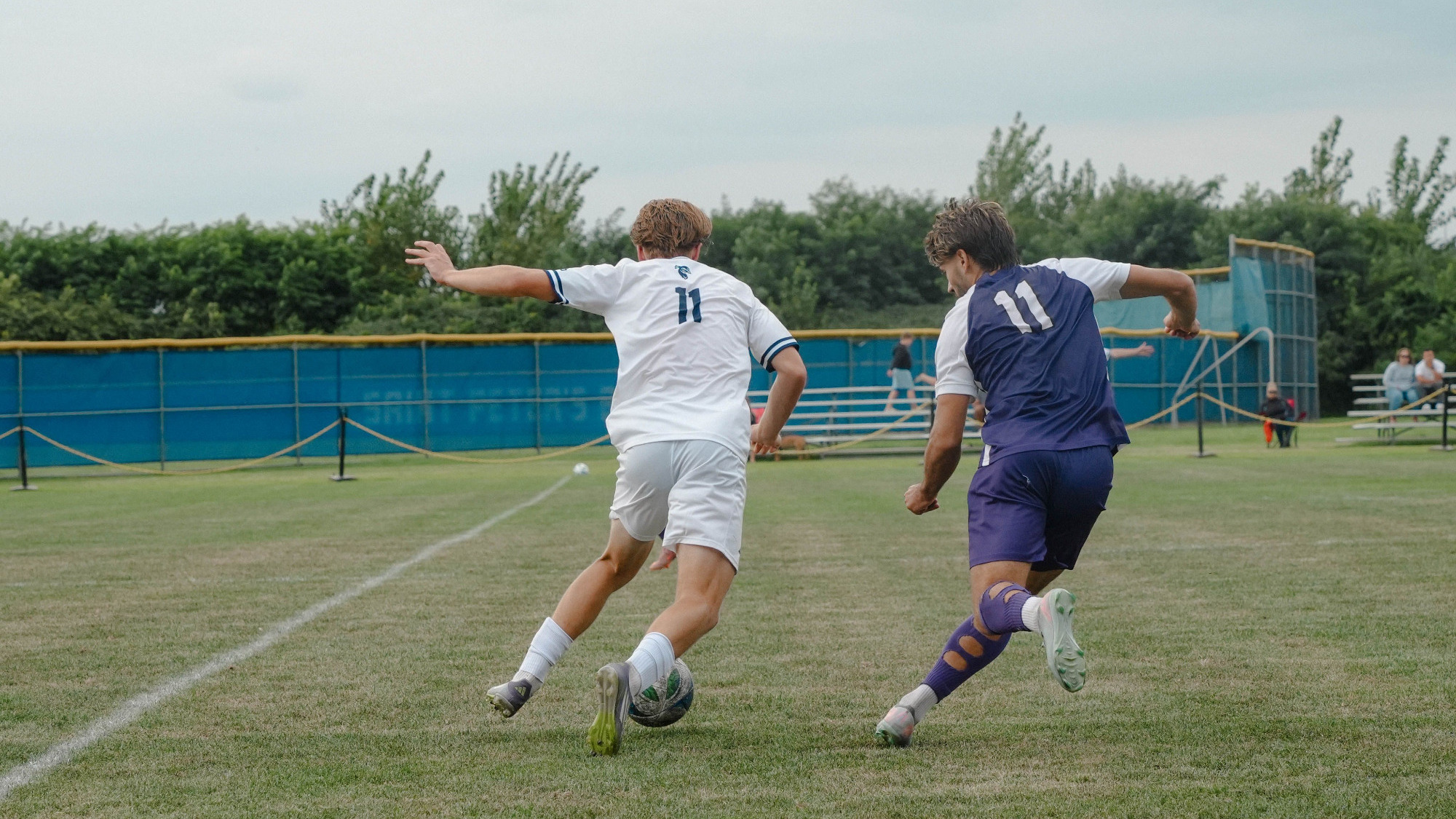 Vs Canisius