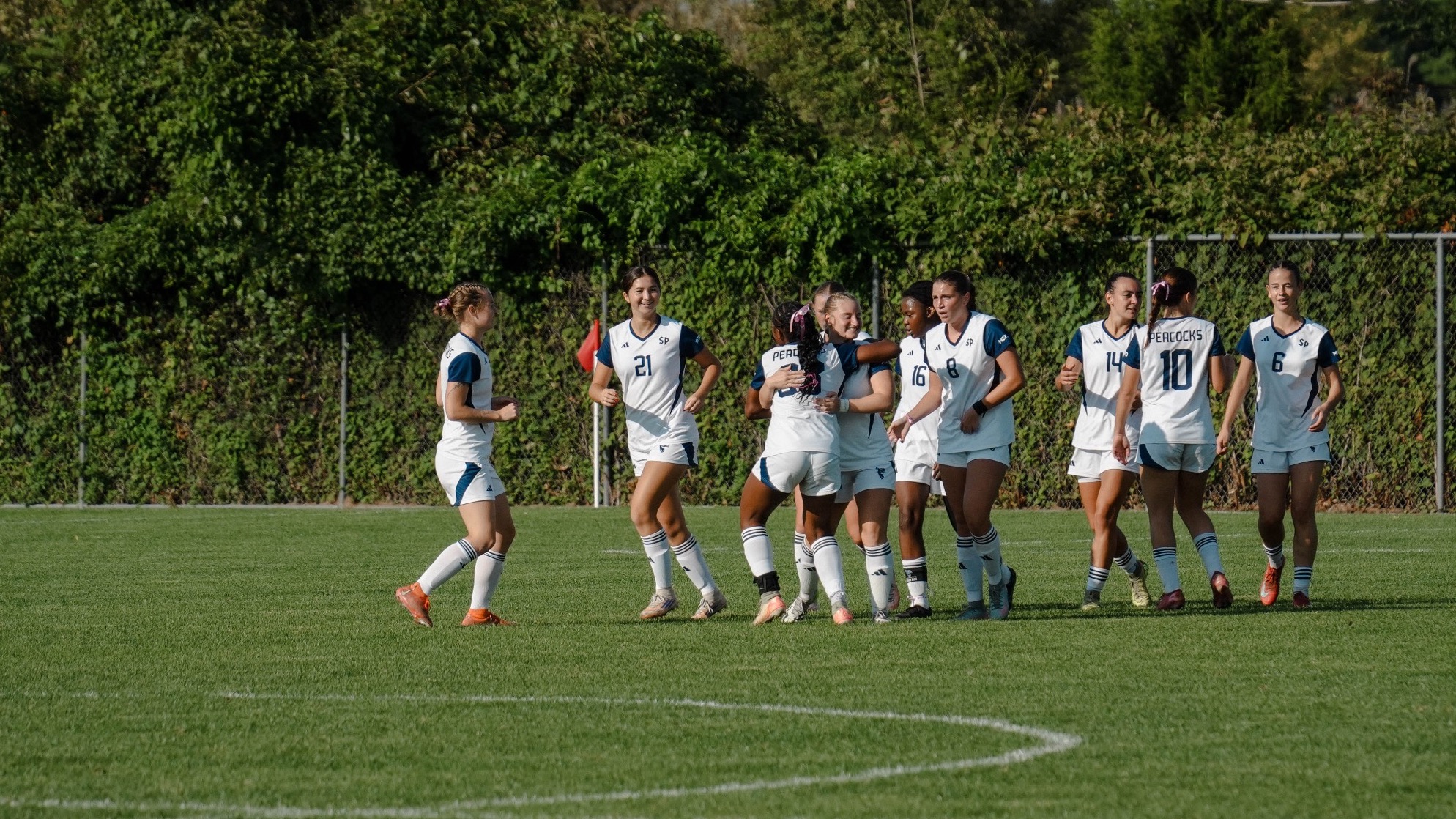 wsoc
