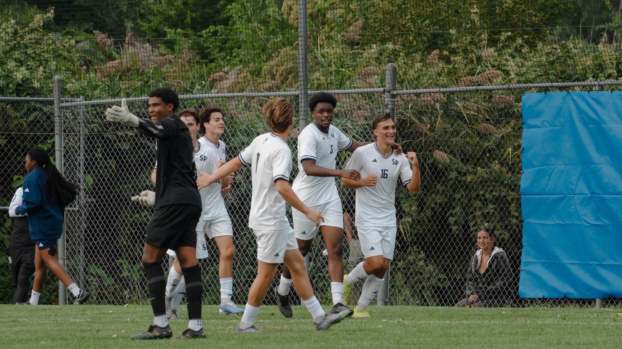 Msoc