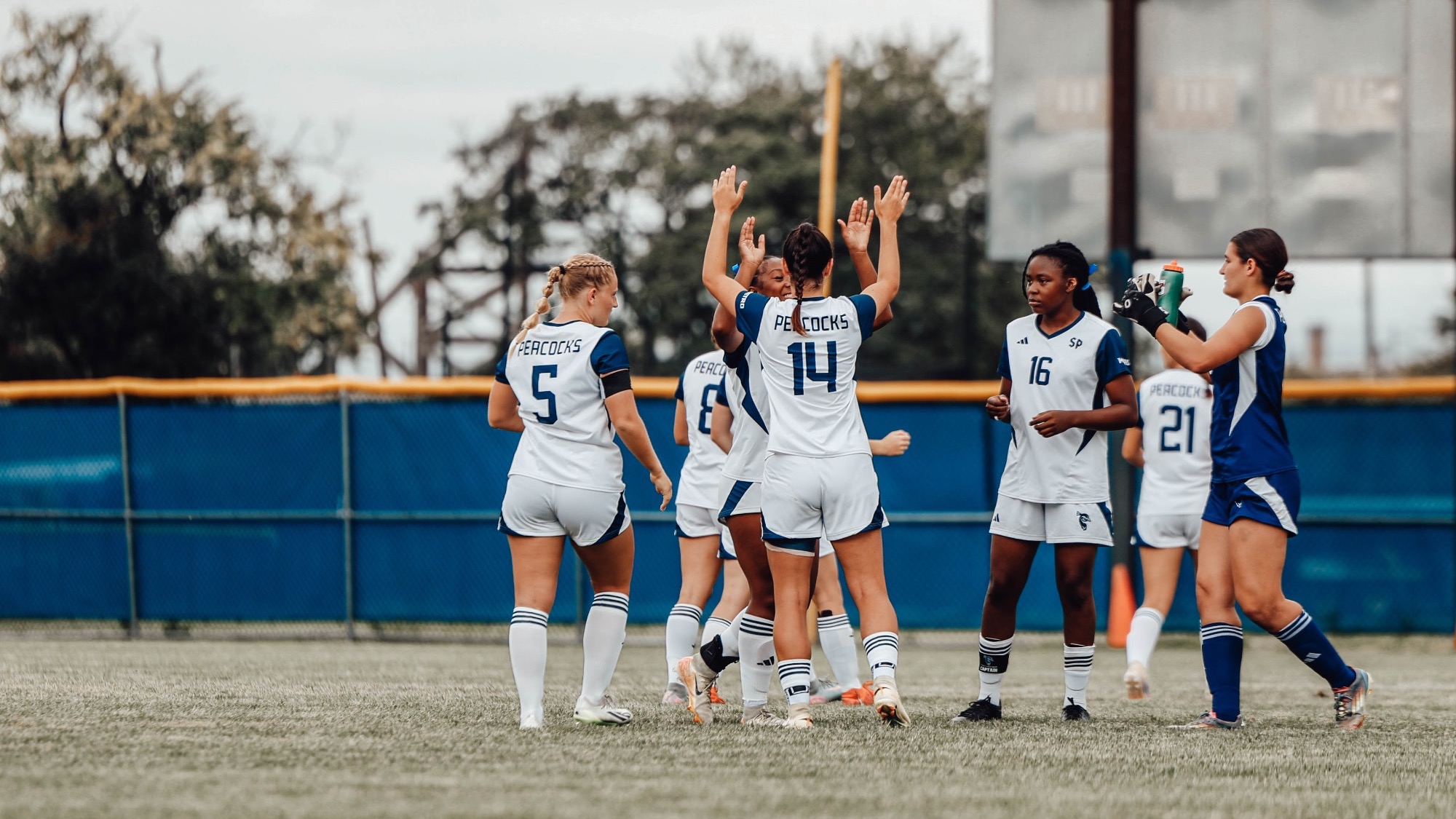 Wsoc
