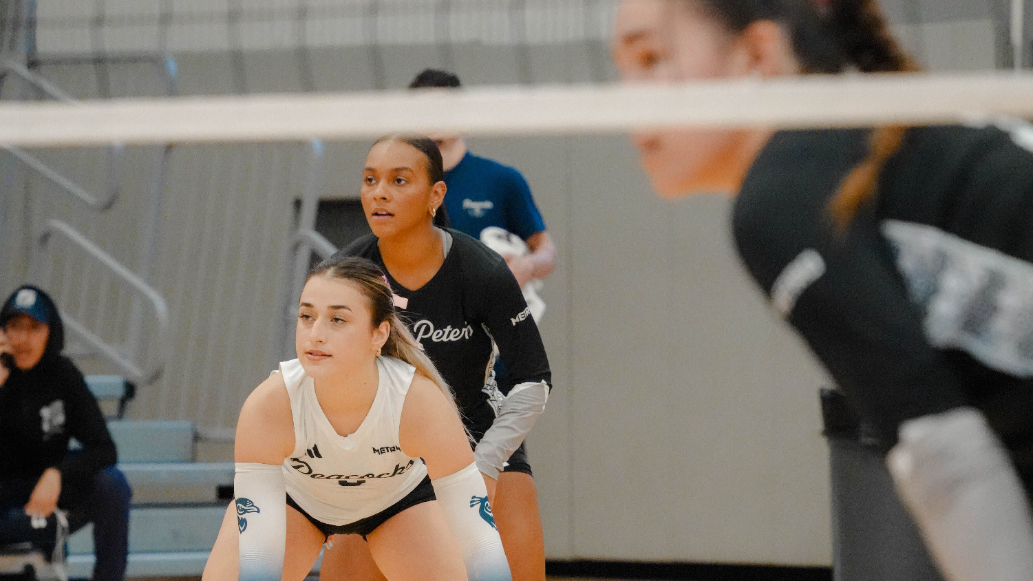 VS NJIT/Farfield/SHU