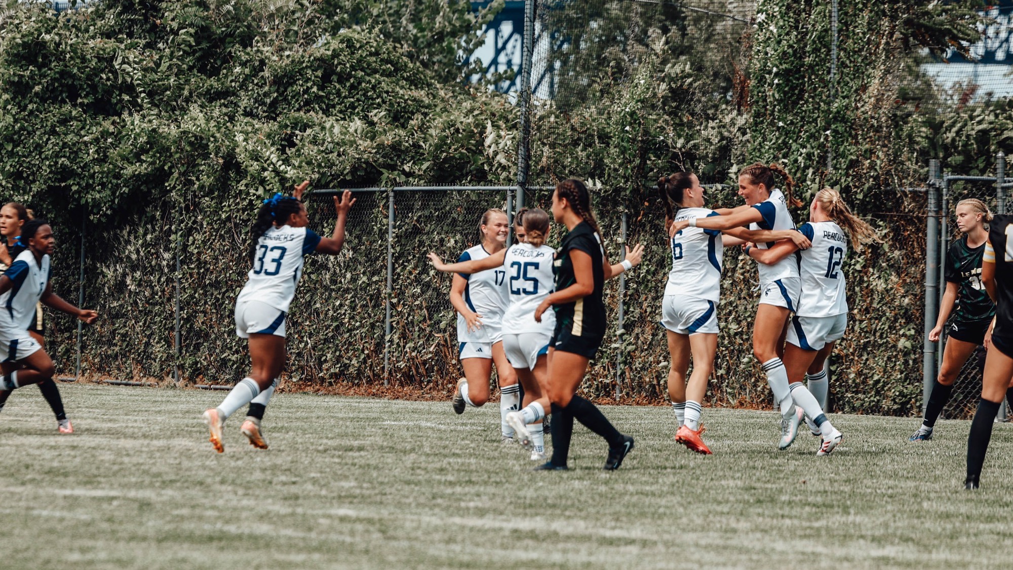 Wsoc