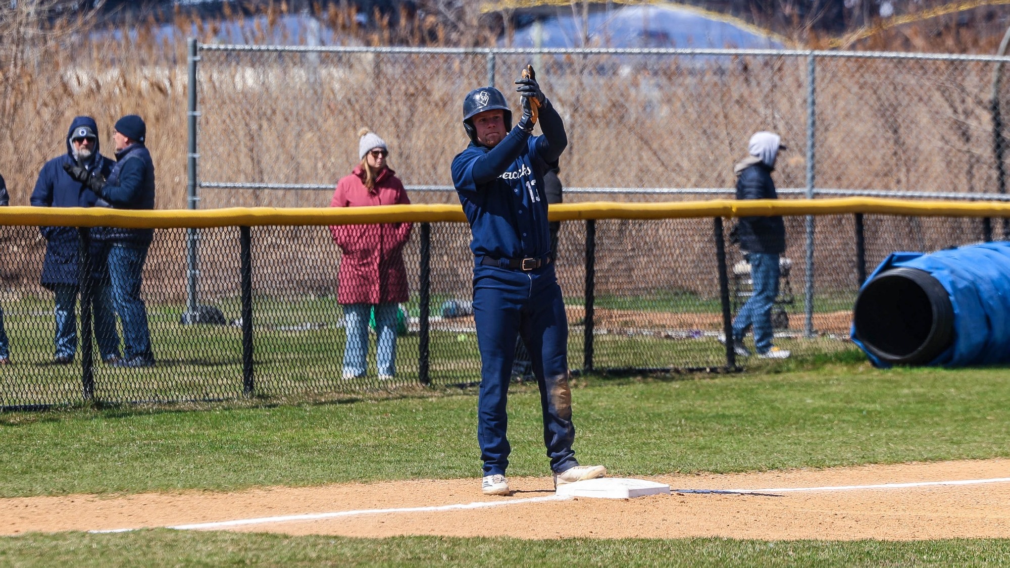 Steve Polizzi vs Quinnipiac