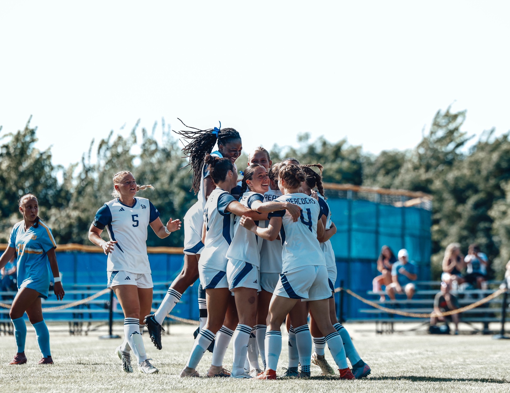 Celebration WSOC