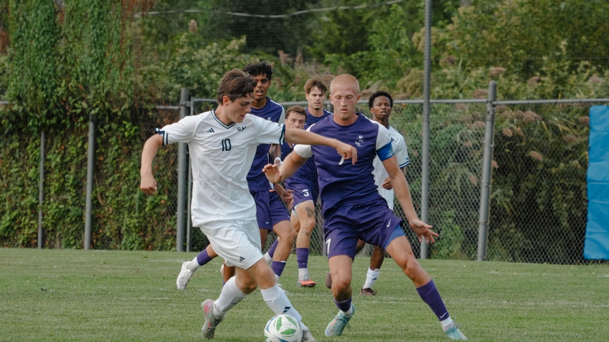 vs SHU