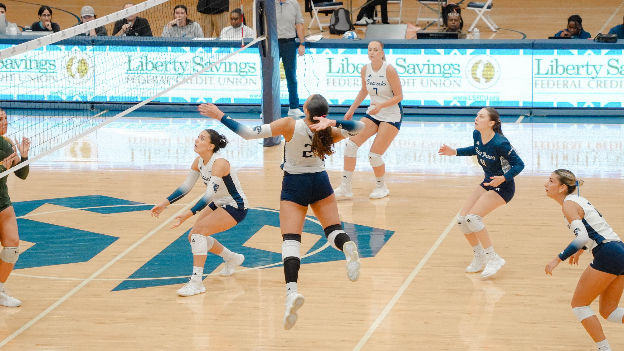 vs Siena
