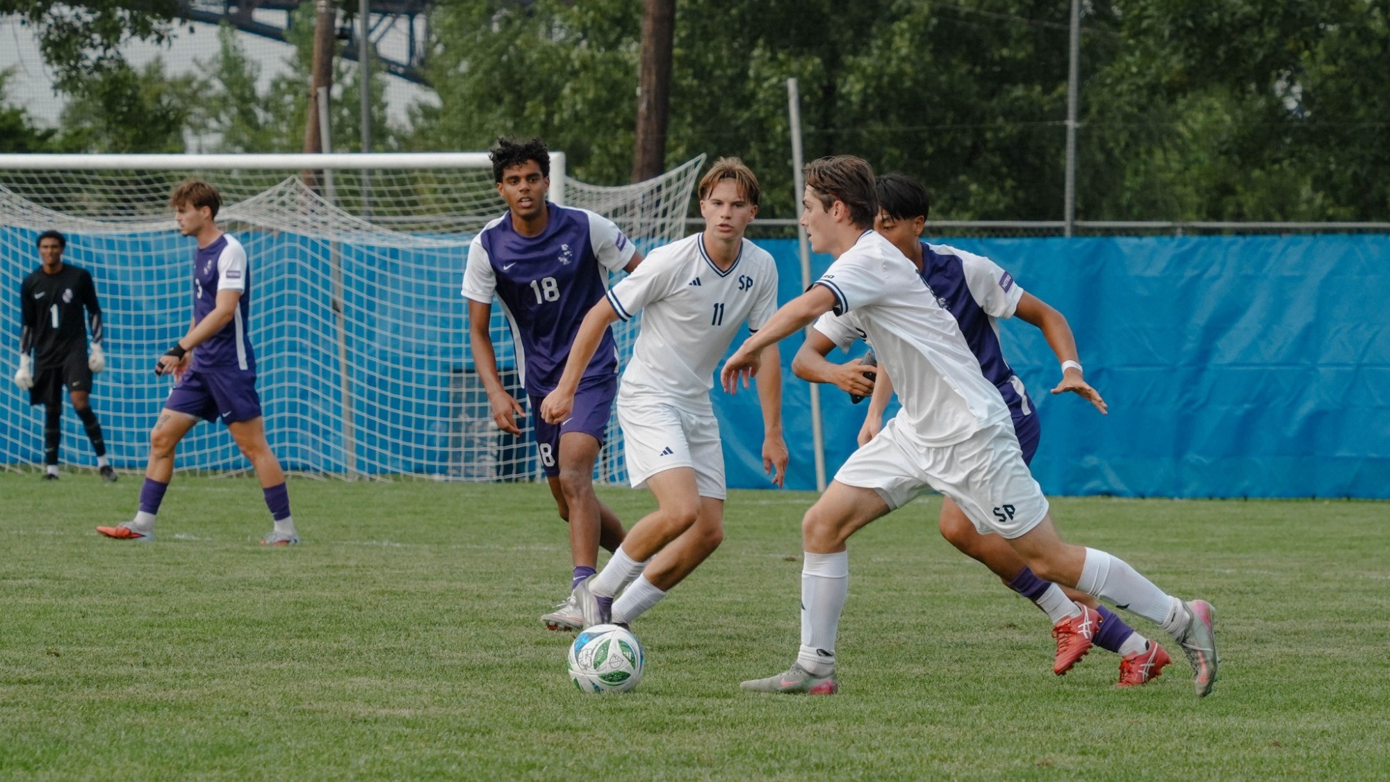 vs Fairfield/Siena