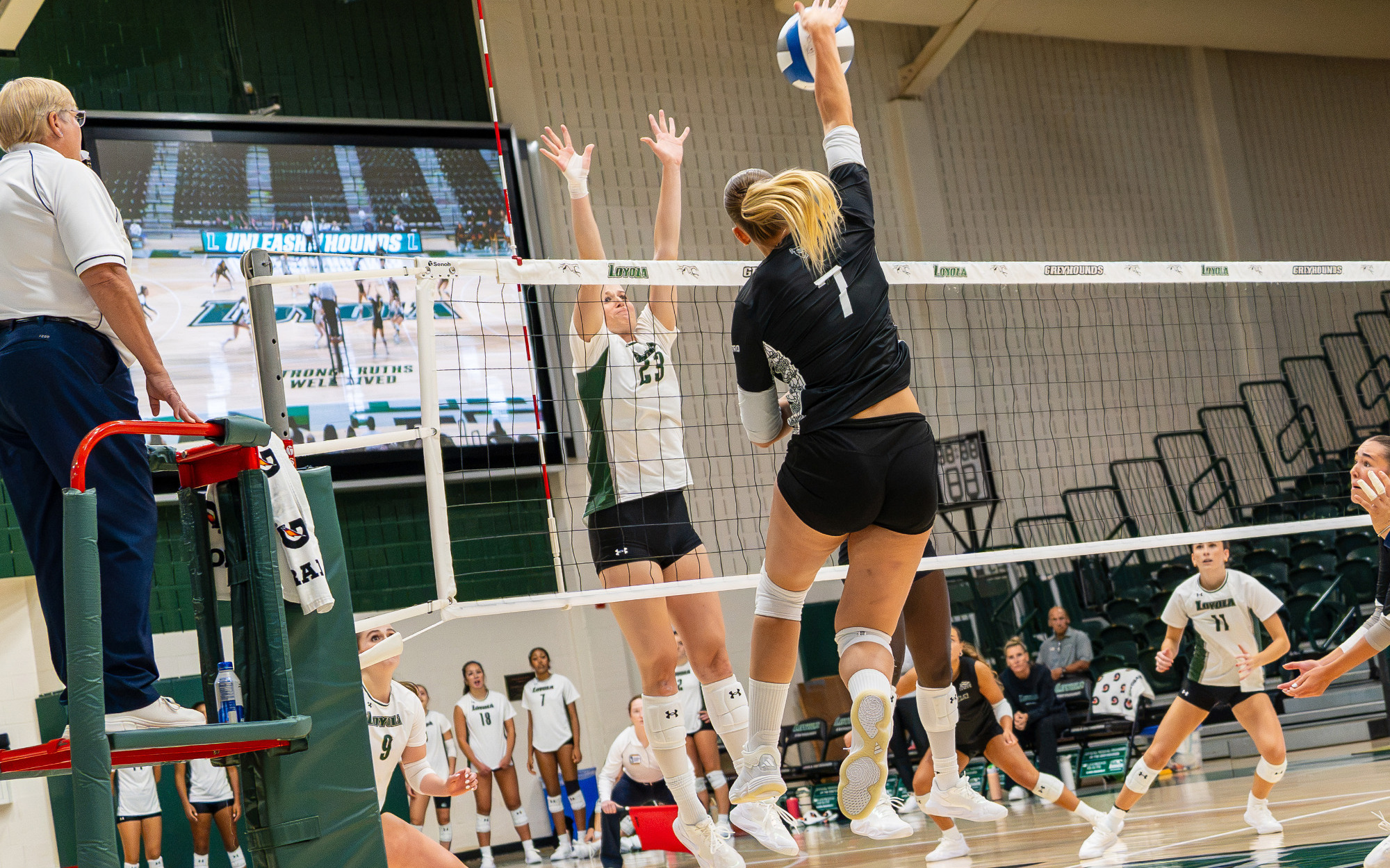 Vs Loyola