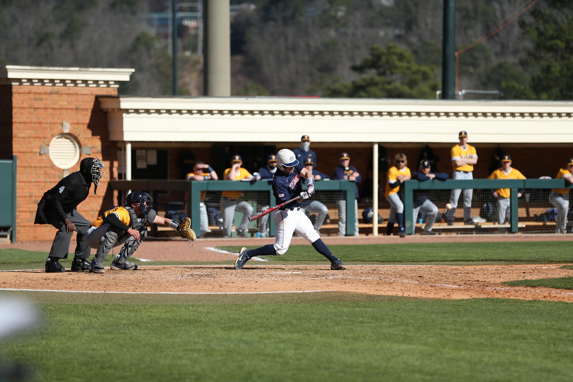 Tyler McManus Baseball Samford University Athletics