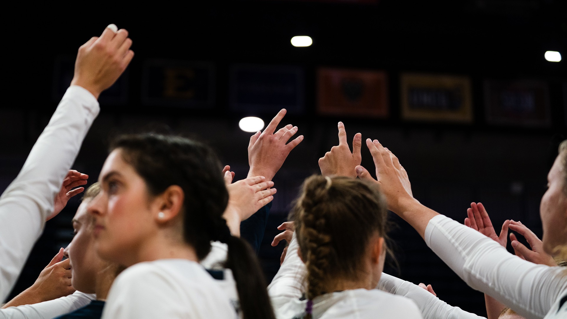 Volleyball Drops Home Opener to Evansville Samford University Athletics