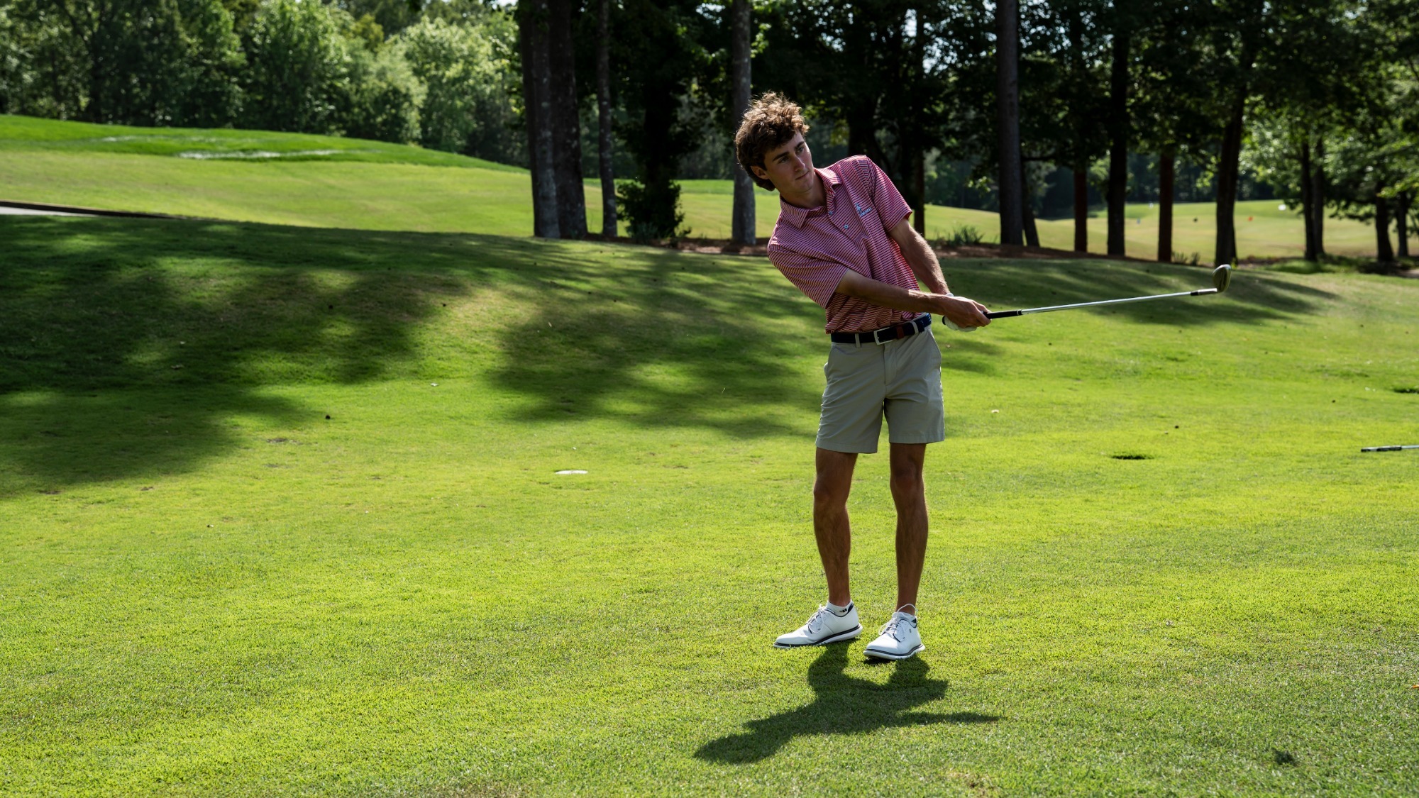 Campbell Sciortino action 2026