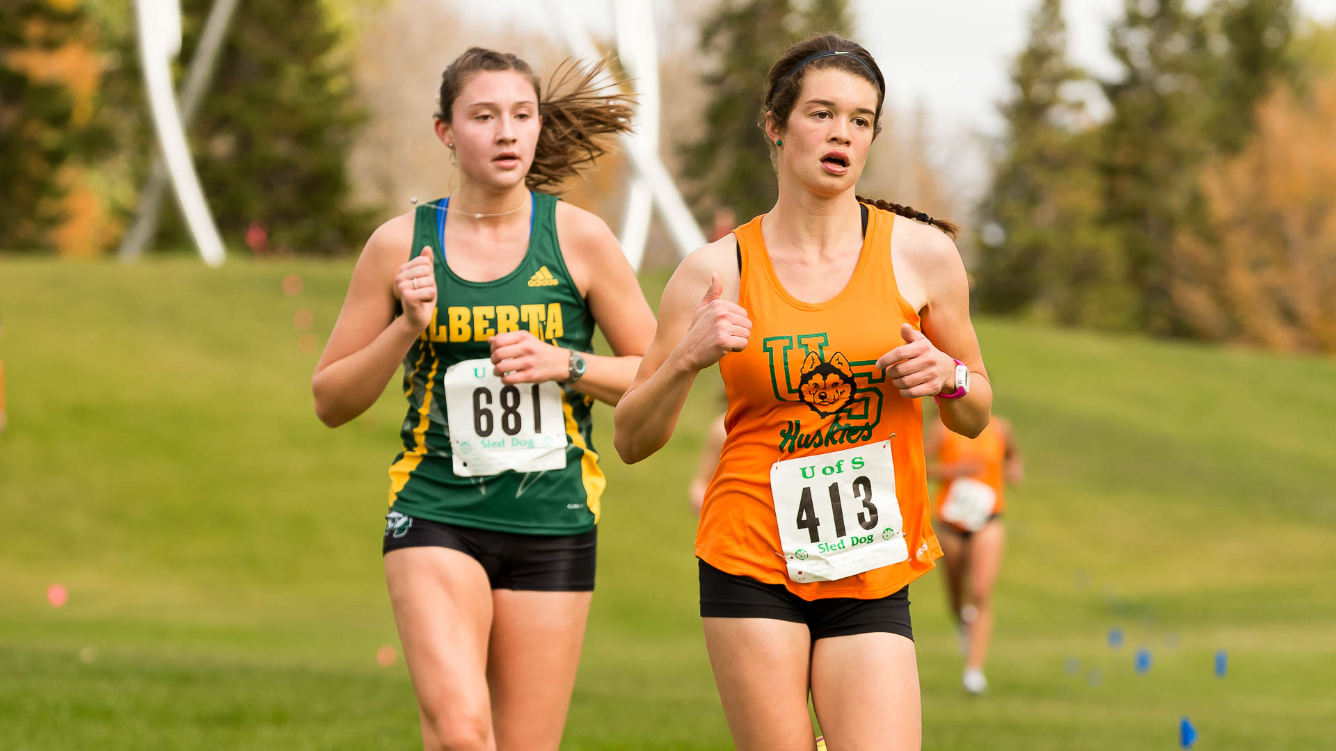 Sonia Rees - Cross Country - Huskie Athletics