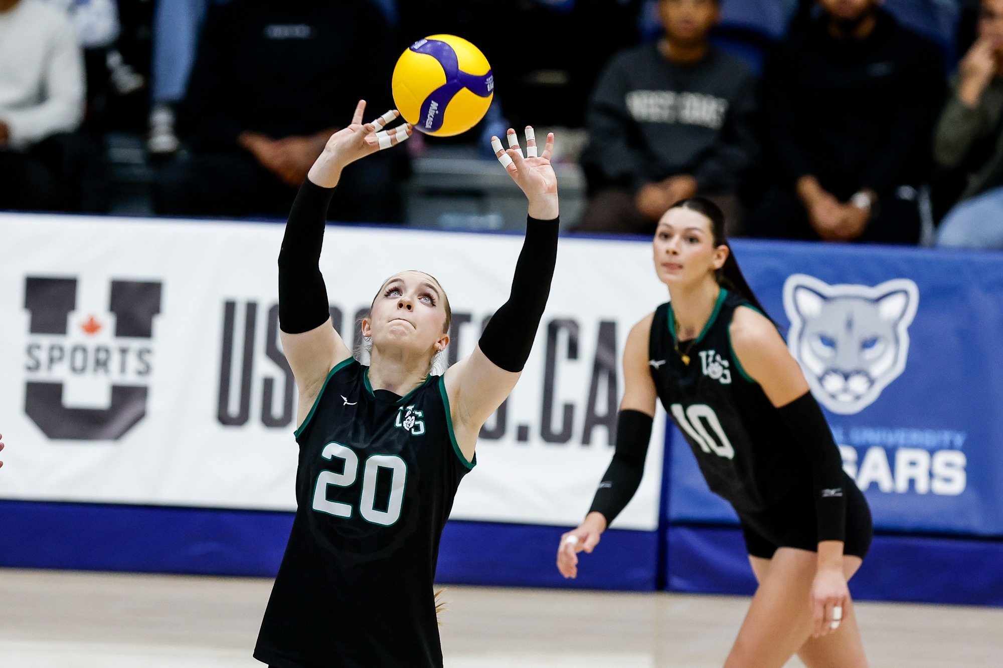 Tielle Hagel at MRU 2025-26