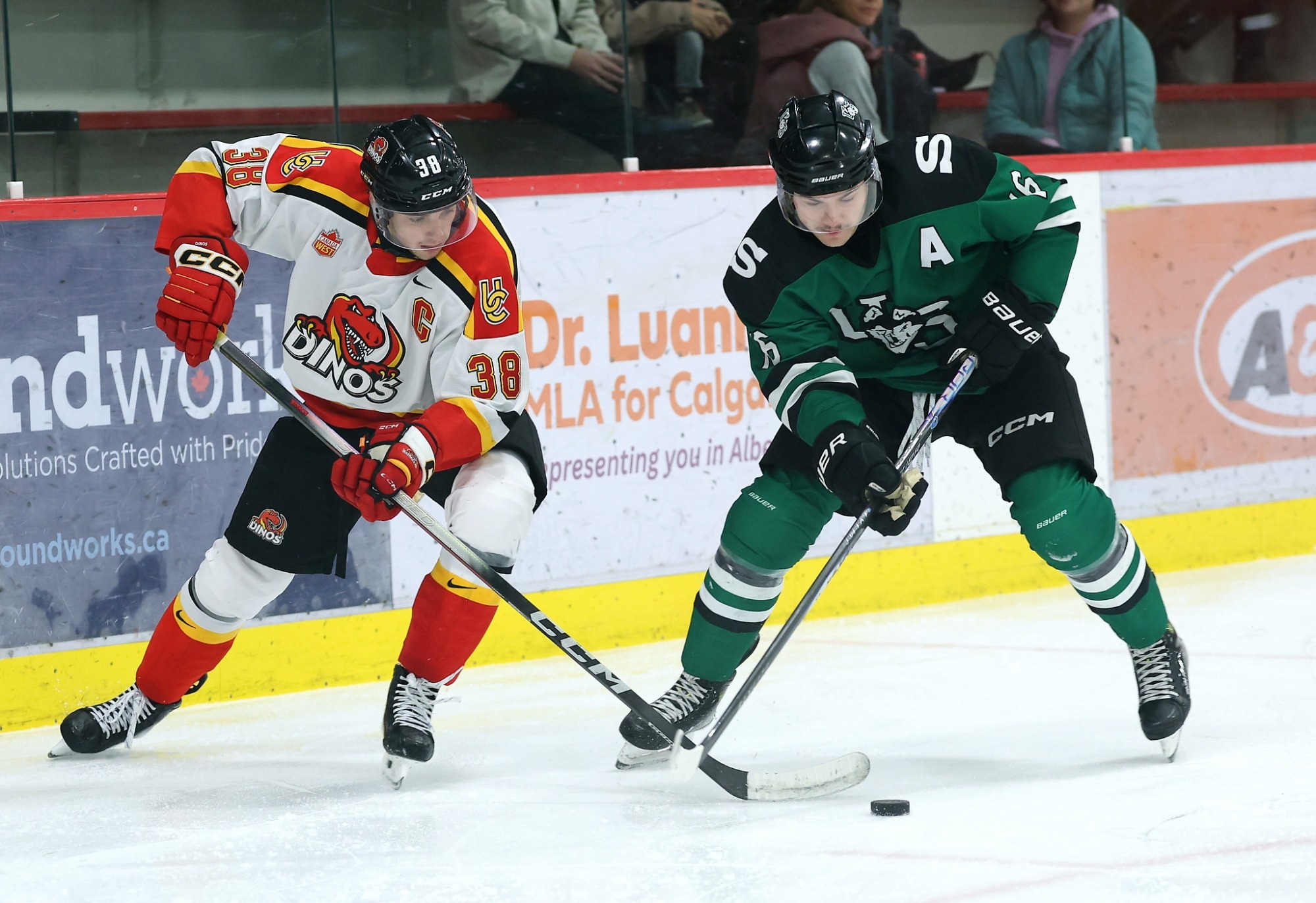 Dawson Holt at Calgary 2025-26