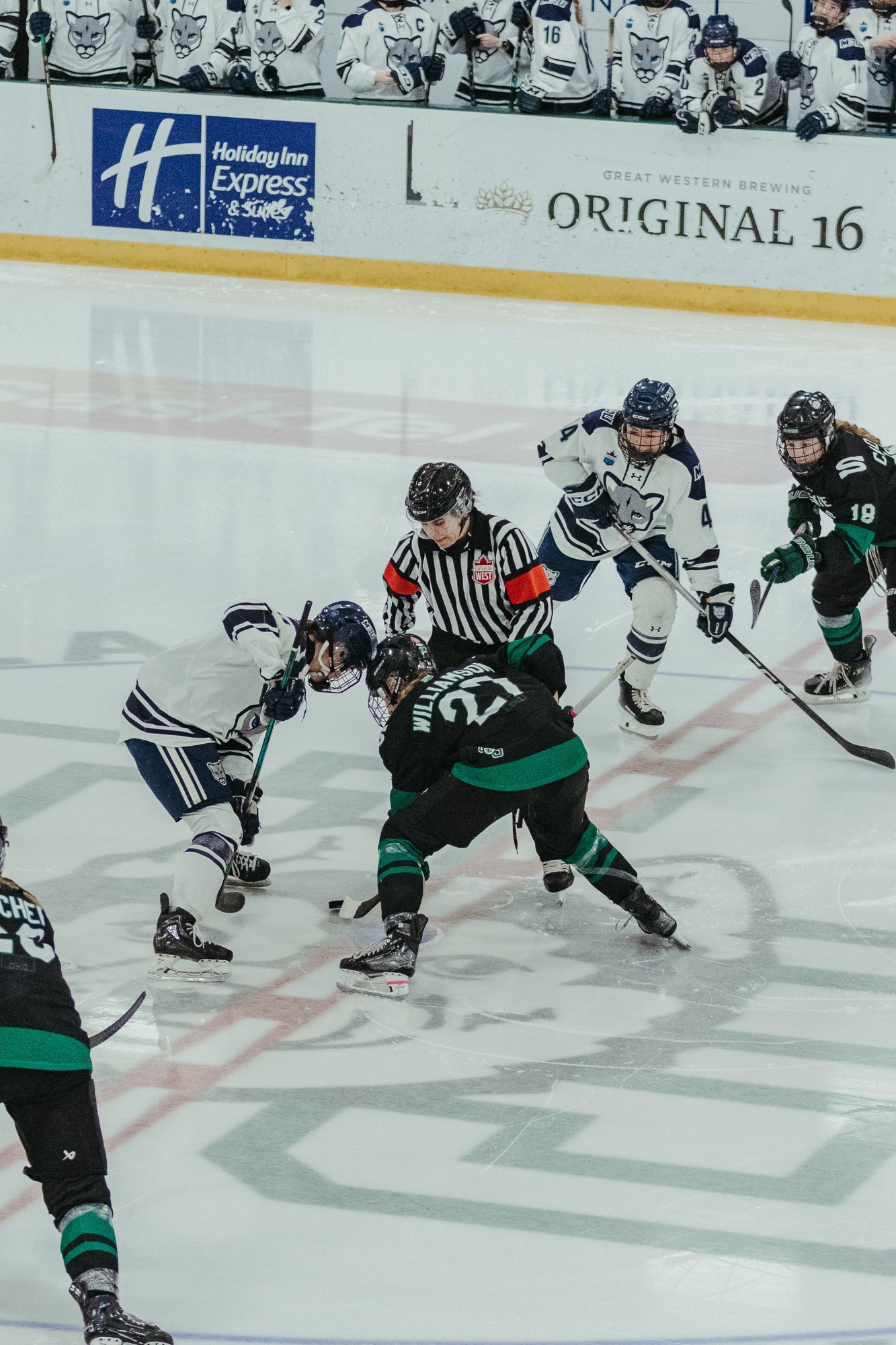 Shelby Williamson vs MRU 2025-26