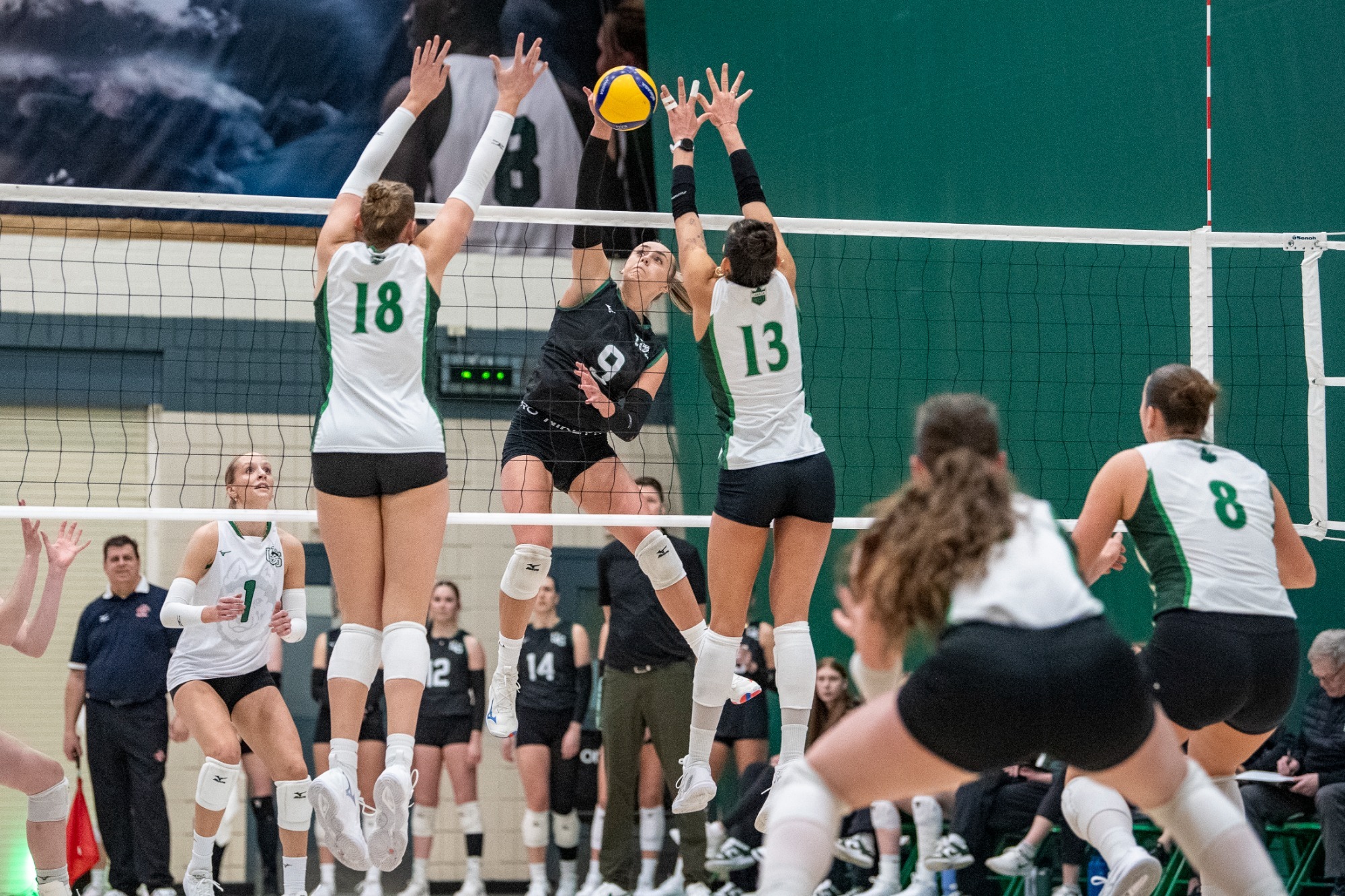 as the University of Saskatchewan Huskies take on the Fraser Valley Cascades in Canada West Women’s Volleyball action in Saskatoon, SK, January 31, 2026.Photo Electric Umbrella/Liam Richards 
