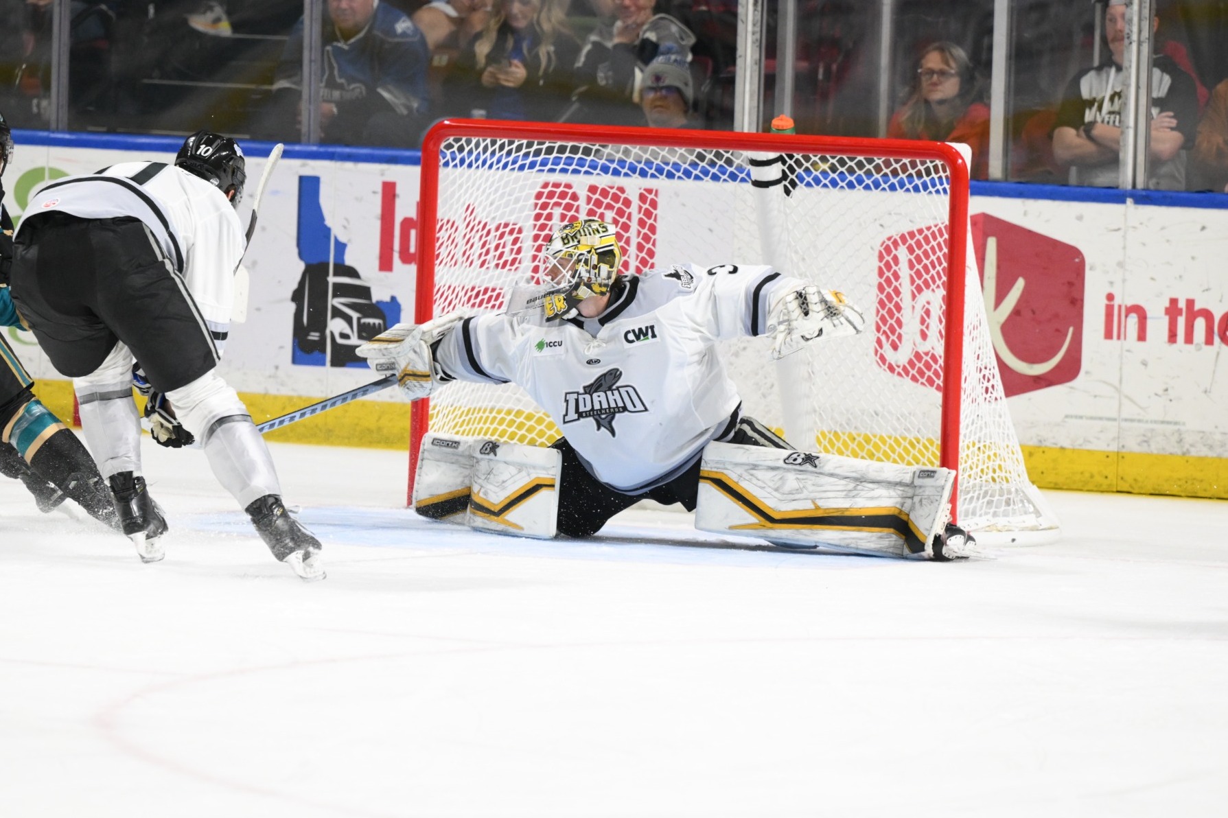 Nolan Maier - Idaho Steelheads