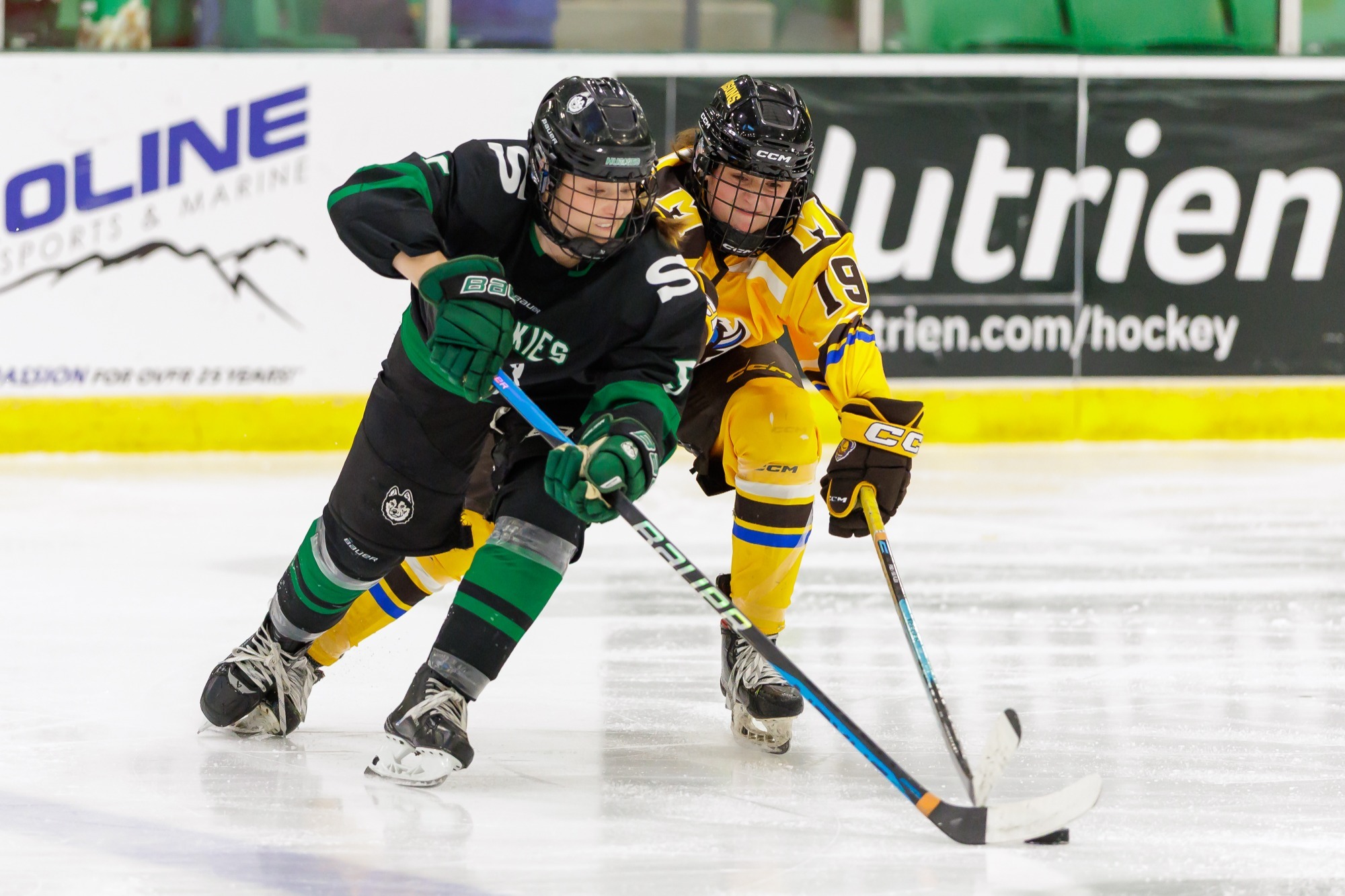 Huskies vs Bisons 2026-27
