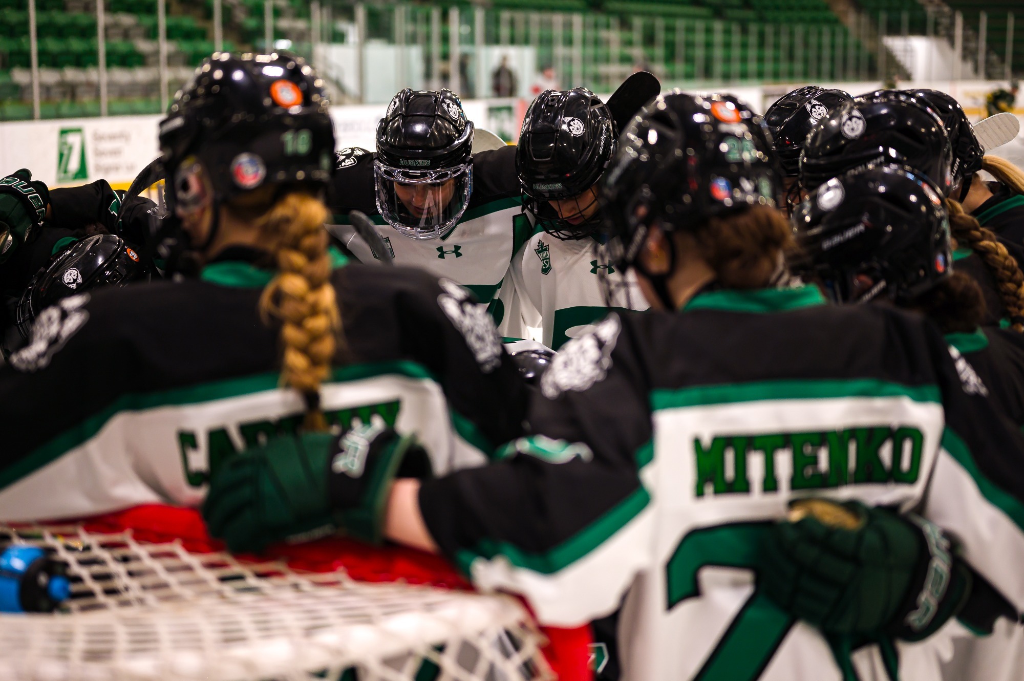 The University of Saskatchewan Huskies take on the University of Regina Cougars in  women?s hockey action Saskatoon SK 2026-02-01\r\rPhoto Electric Umbrella/Derek Elvin