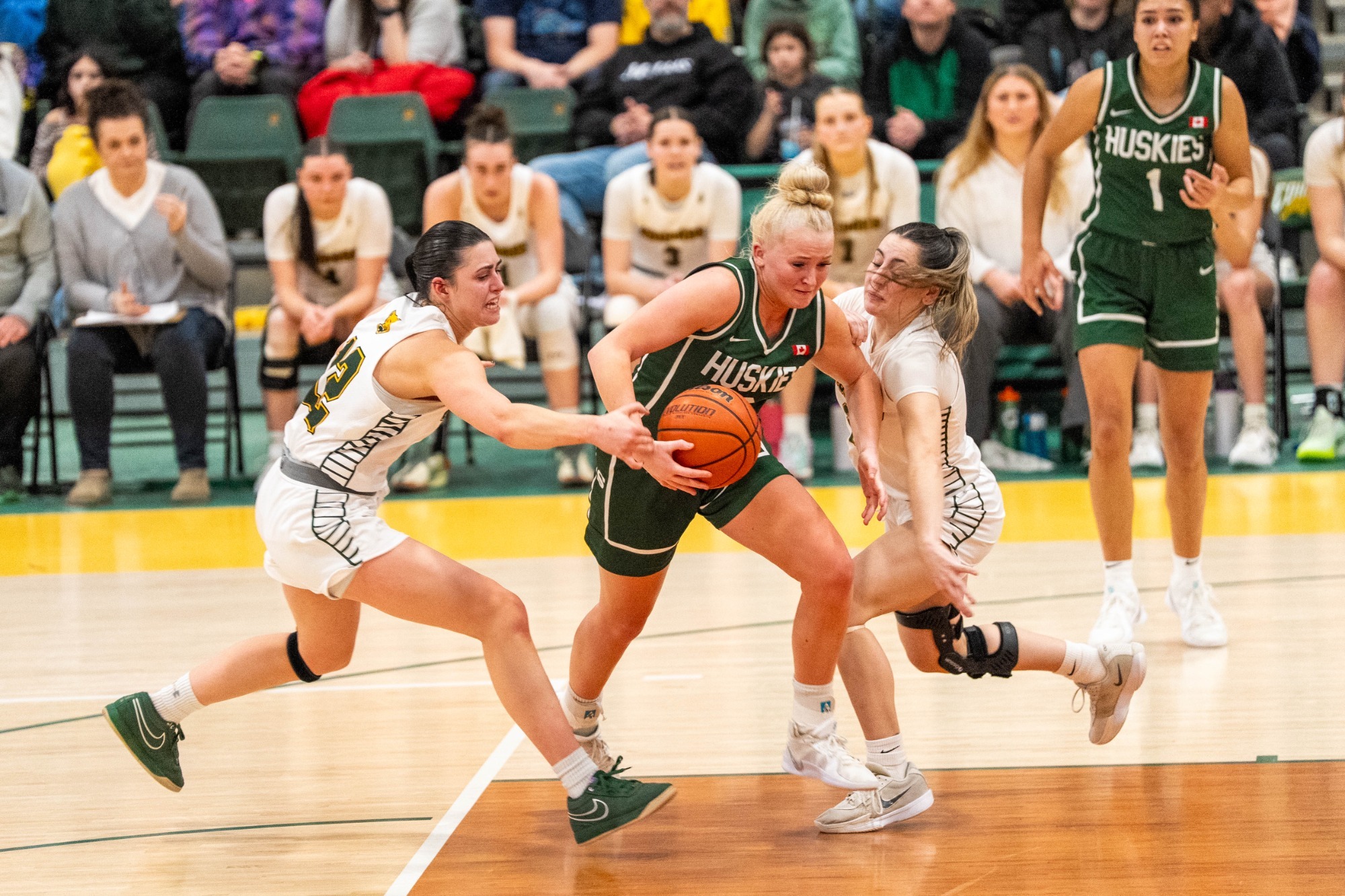 University of Regina Cougars Women's Basketball vs University of Saskatchewan Huskie at the Centre for Kinesiology, Health & Sport on Feb 03 2026.Featured in this photo: OpponentPhoto Credit: Calvin Hui/calvinshoots.arw