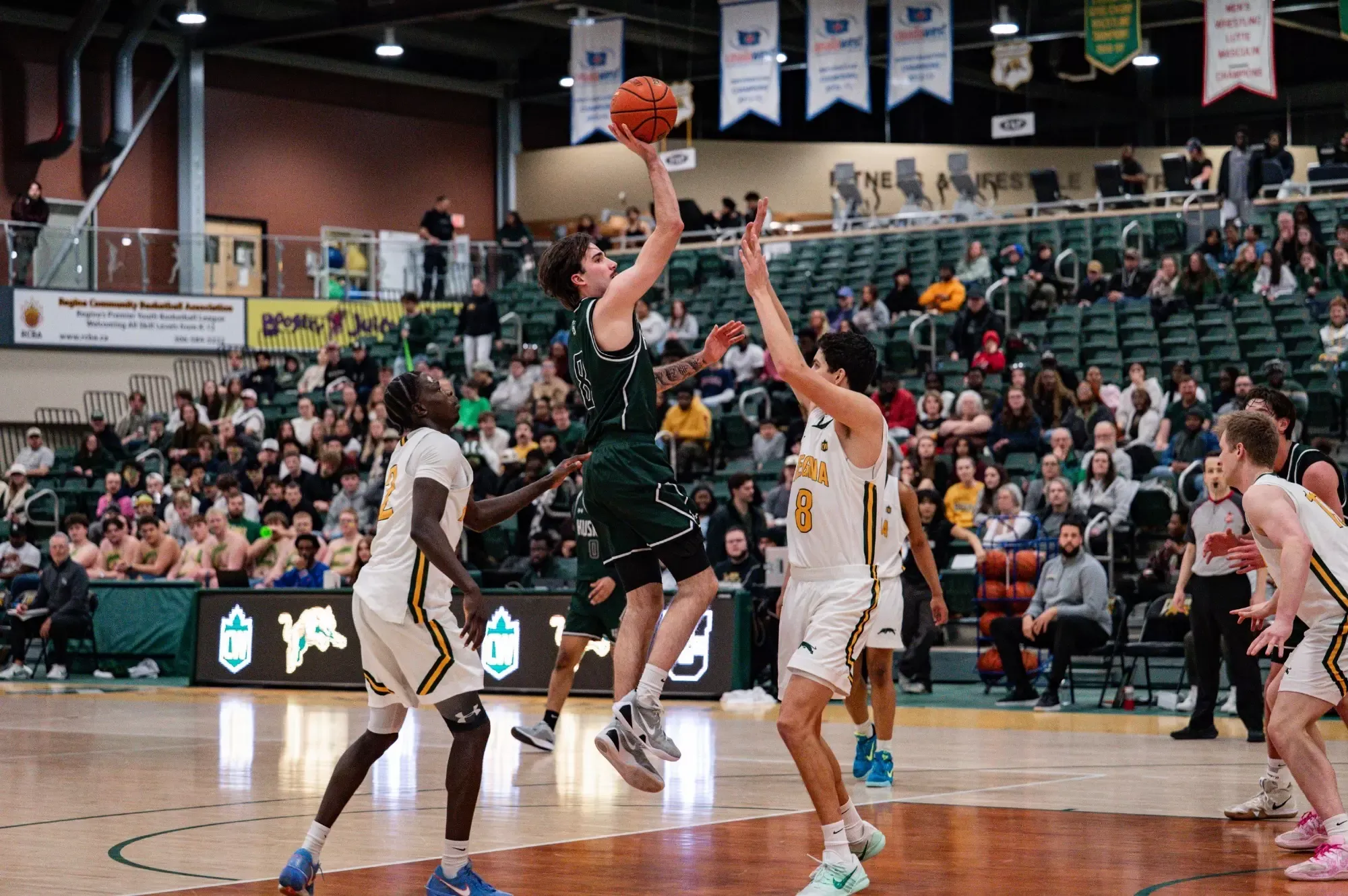 Dylan Miller at Regina 2025-26