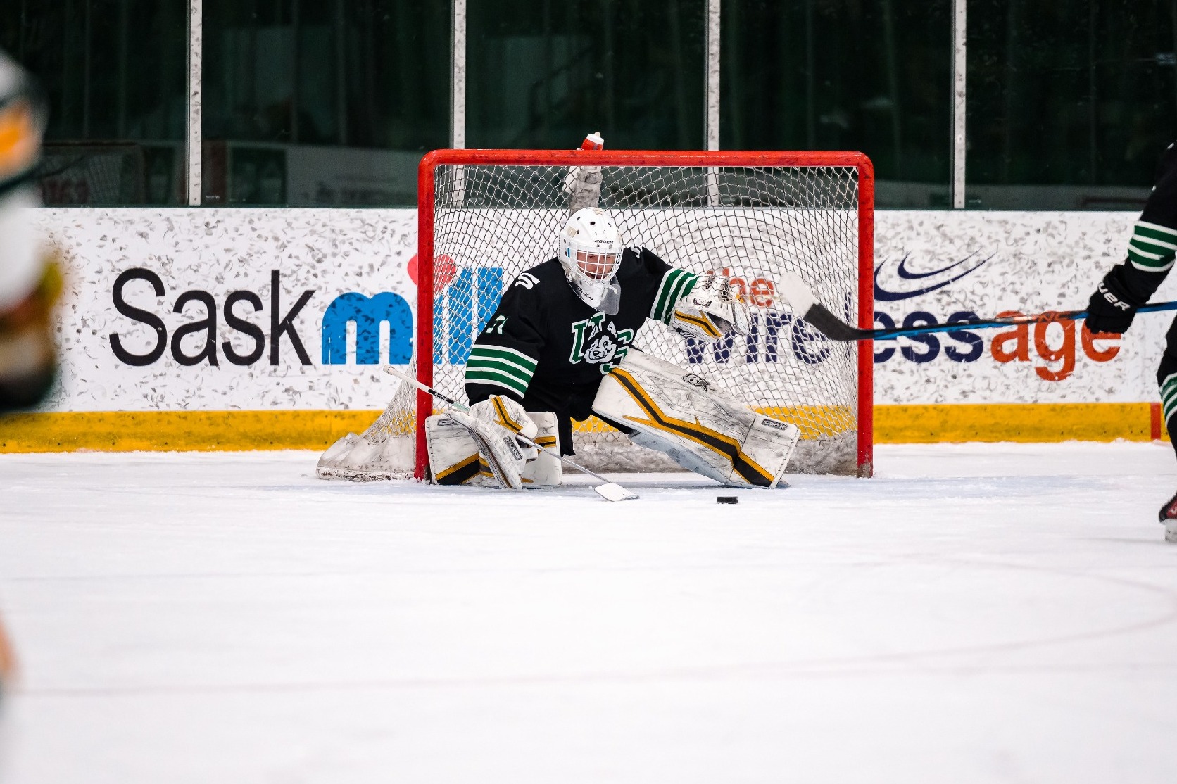 Nolan Maier vs Alberta 2025-26 CW Quarterfinal Gm. 2