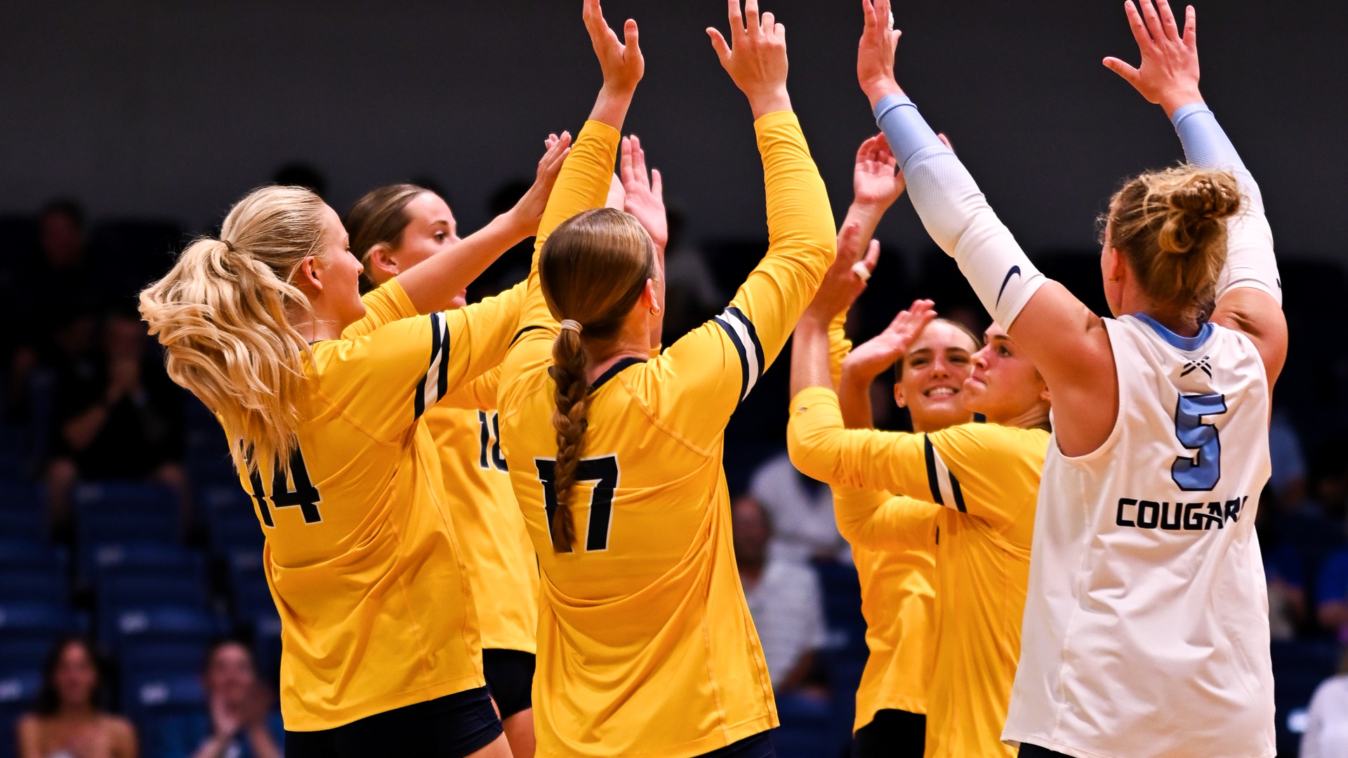 Women's Volleyball