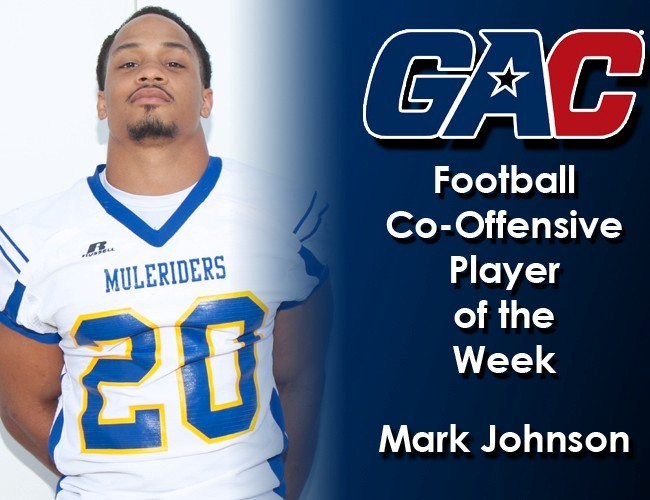 Mark Johnson Football Southern Arkansas University Athletics