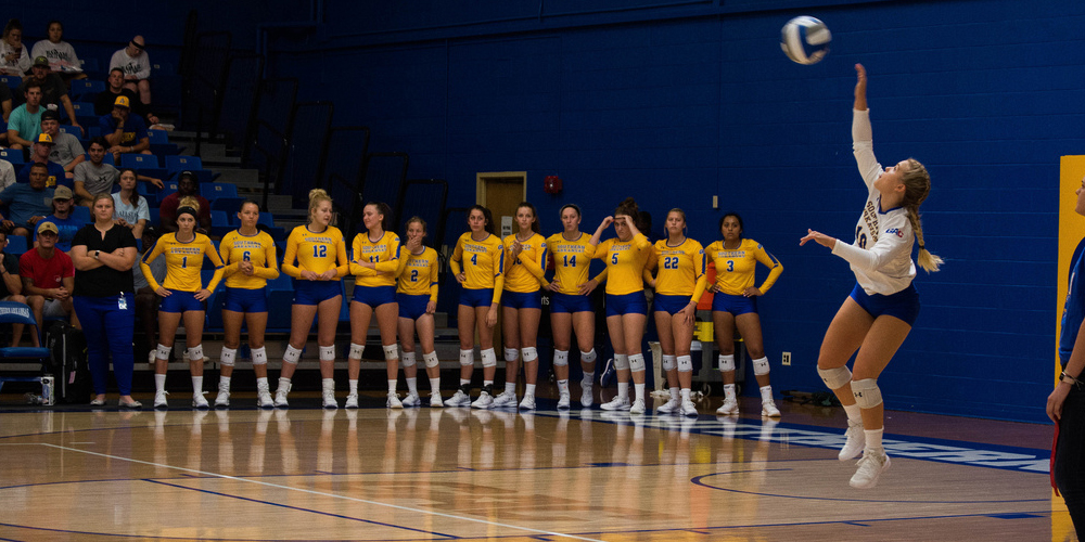 Camryn Bihary Women's Volleyball Southern Arkansas University Athletics