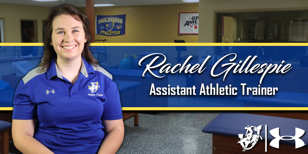 Rachel Gillespie_Hire_Graphic_Web