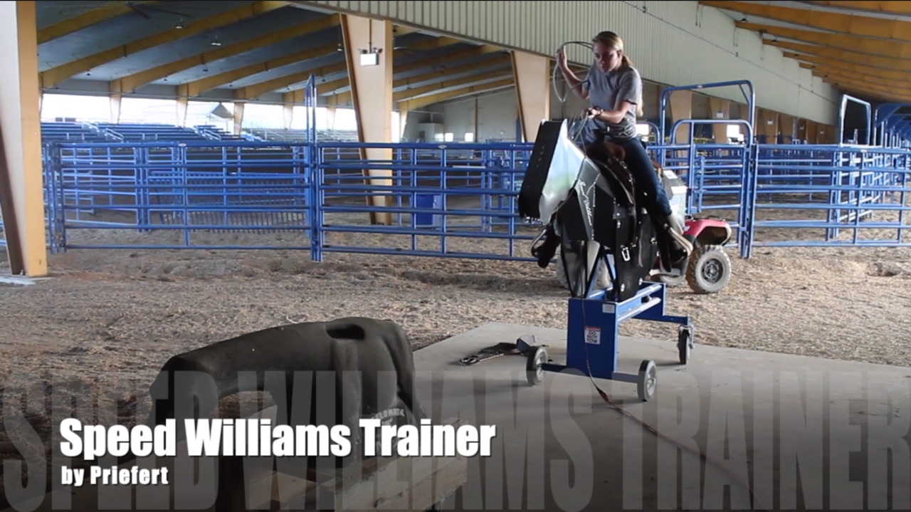 Speed Willams Trainer by Priefert