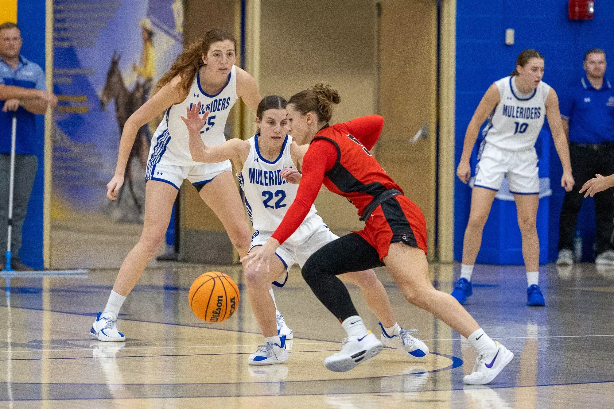 WBB vs. HSU-OUA Preview