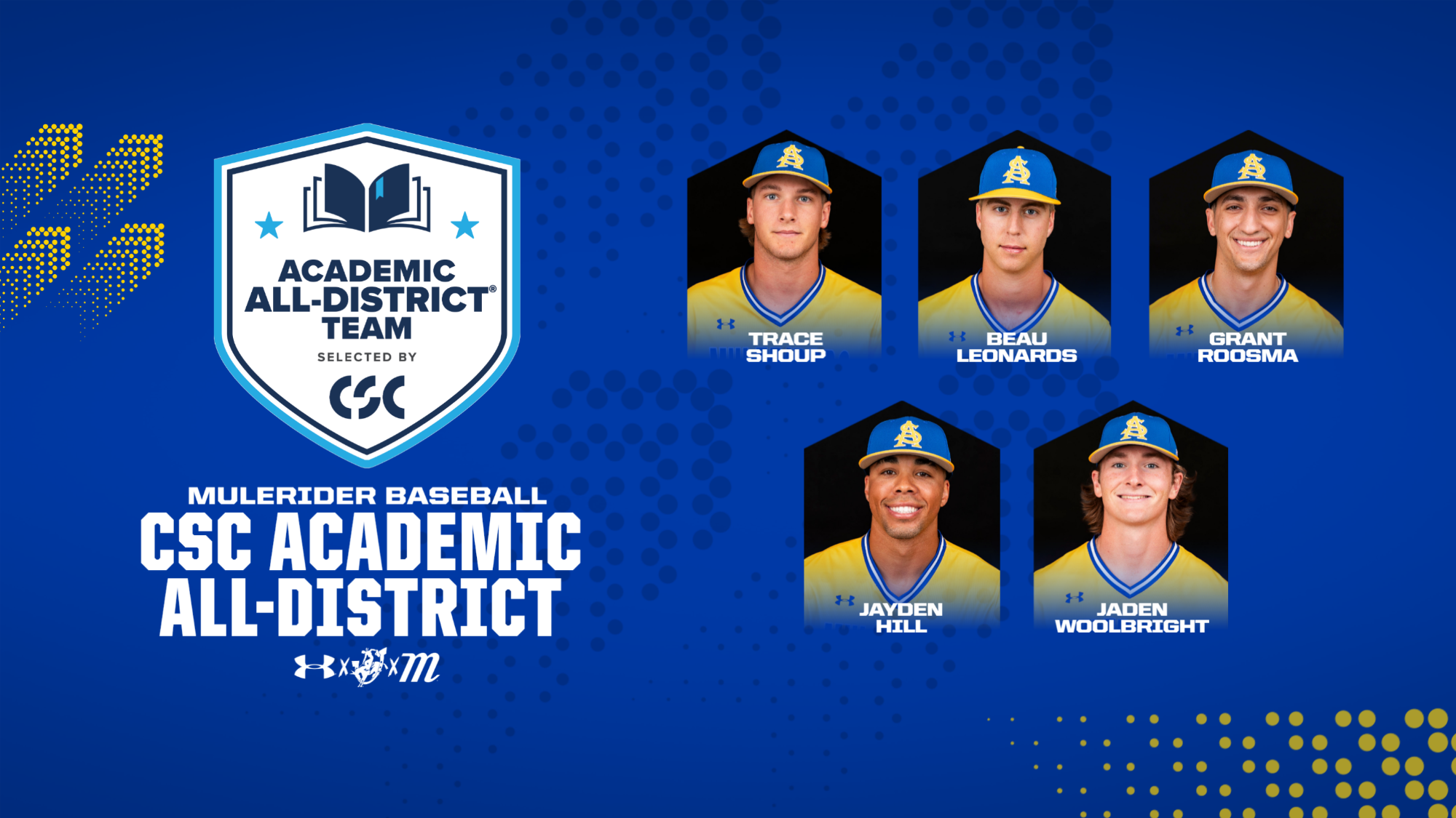 Baseball All-District