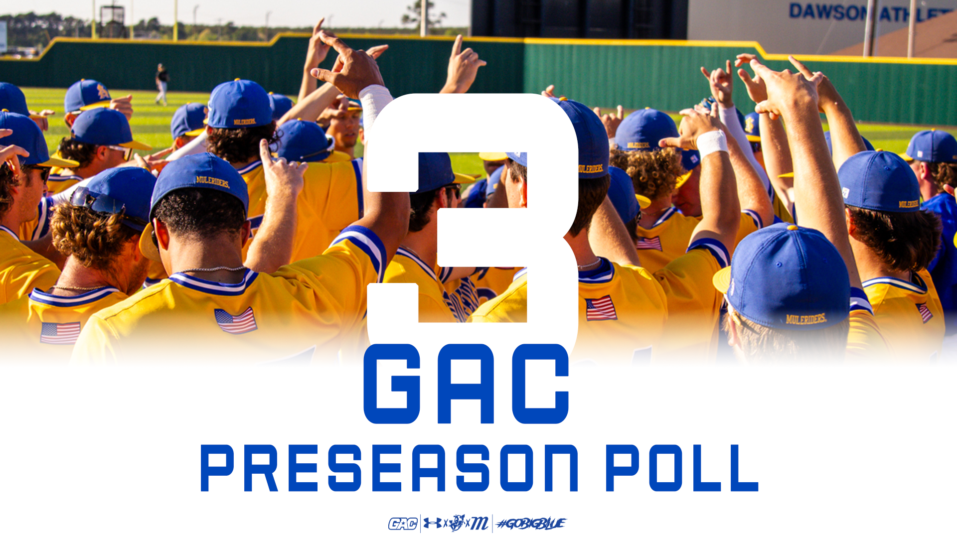 2026 Baseball Preseason