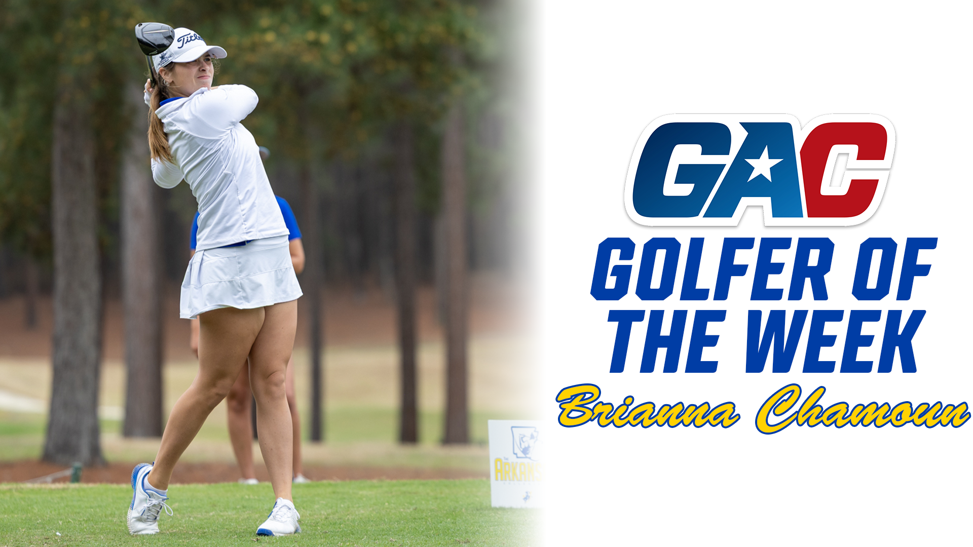 Brianna GOTW1-Article