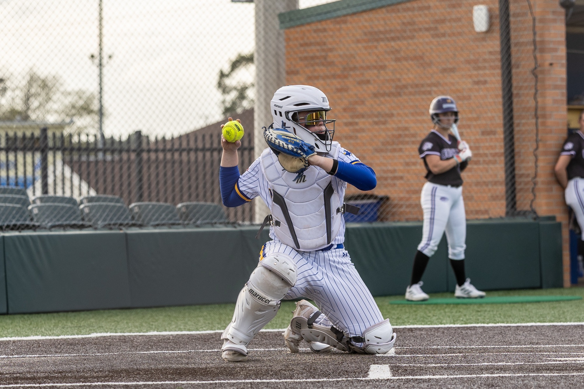 SB vs Harding Preview